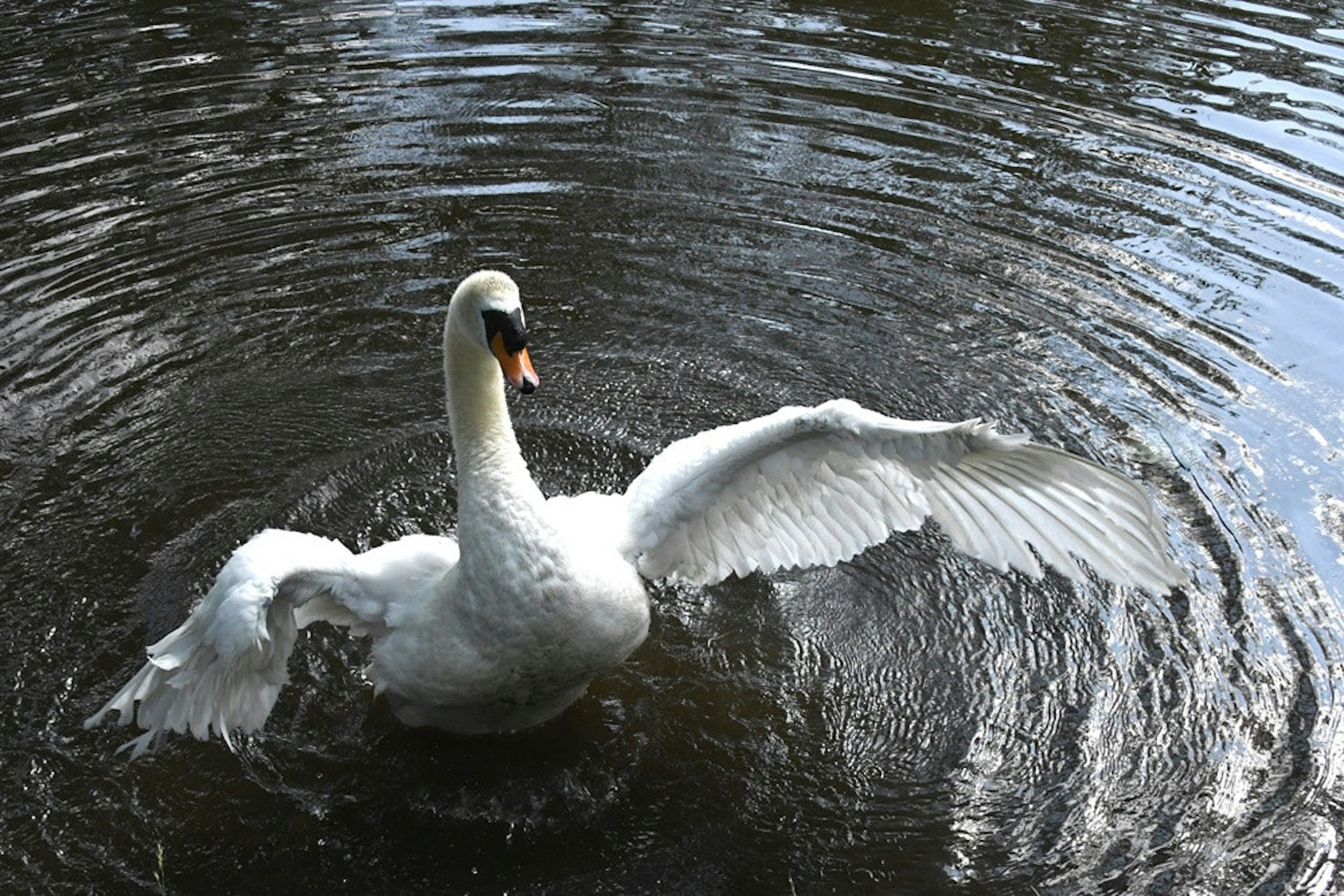 ue1if328vlxm-image-9