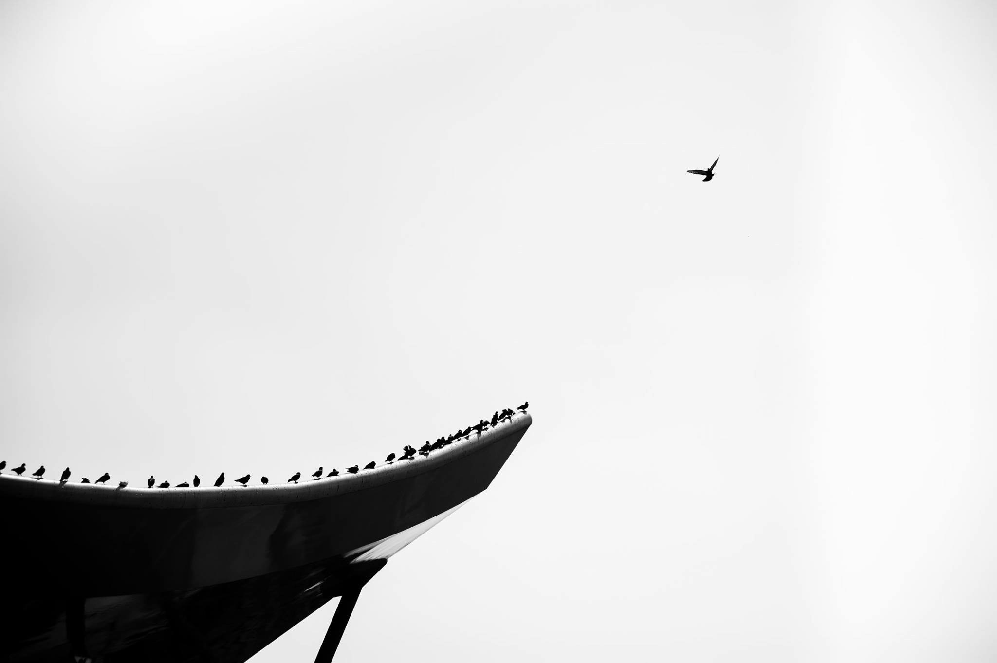 2026-06-find-new-pieces-negative-space-image-32