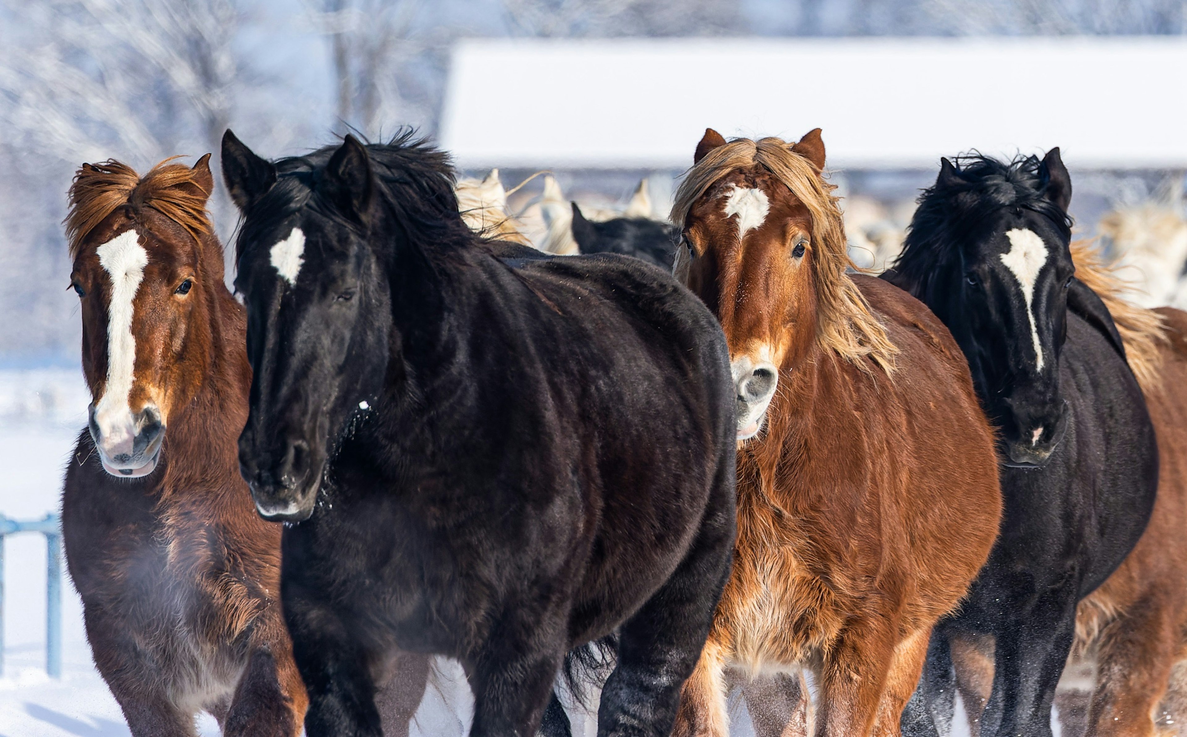 2024-04-hokkaido-2-image-12