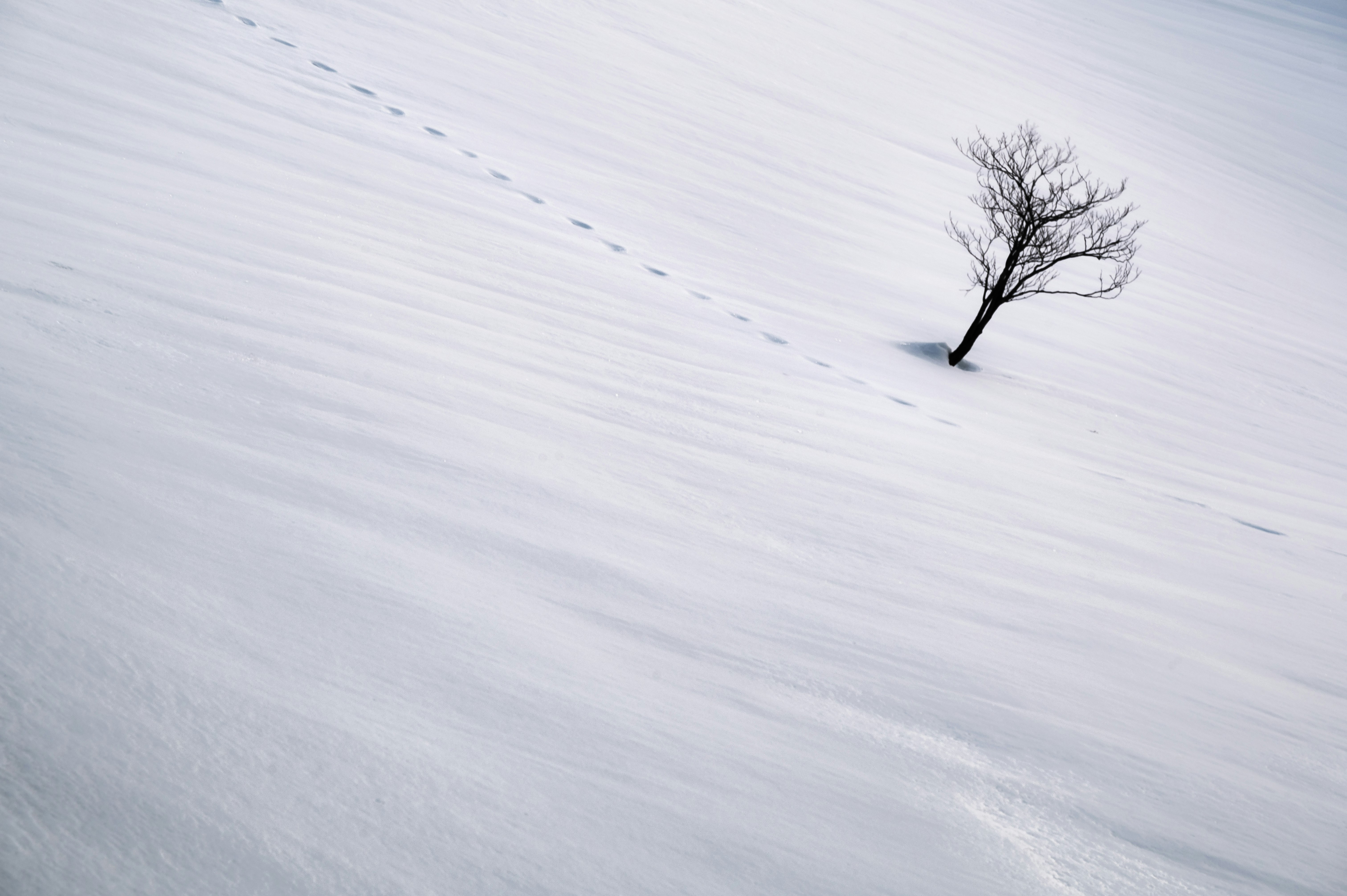 2026-04-single-color-photography-image-4