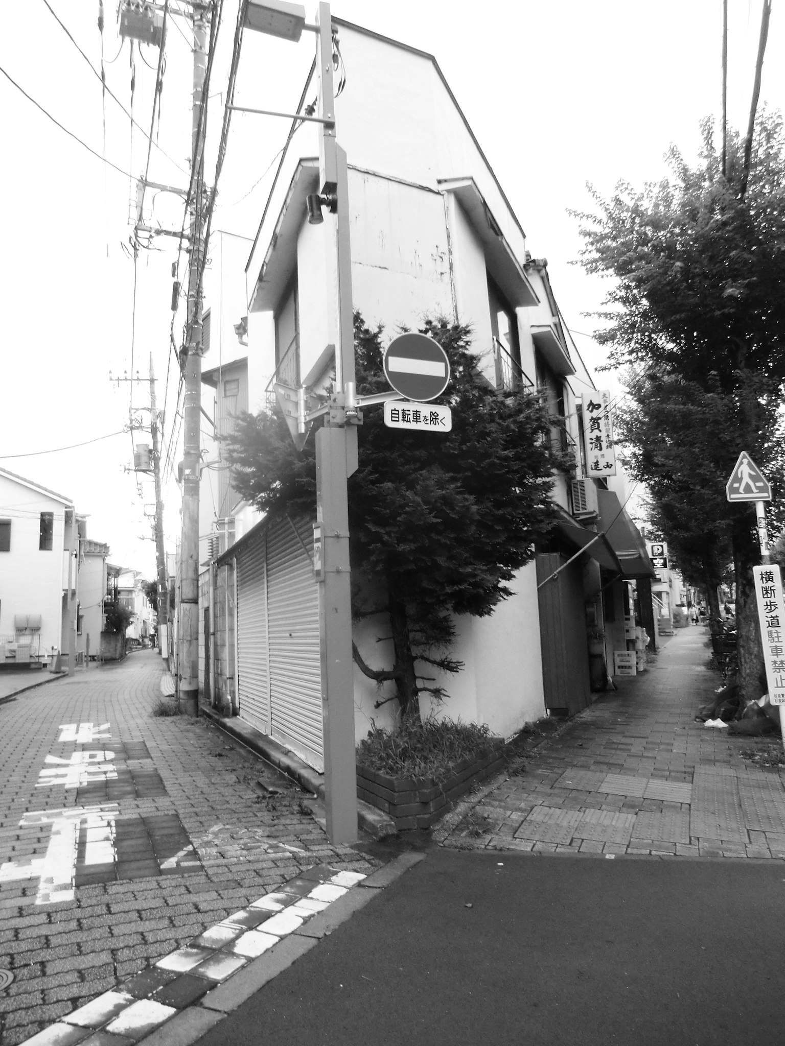 2025-08-diary-image-4