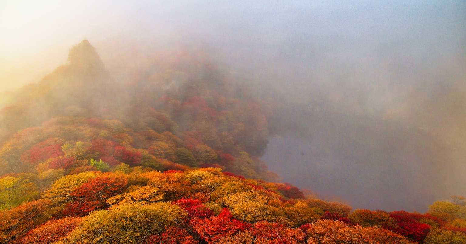 2024-11-autumn-leaves-photography-guide-cover-image