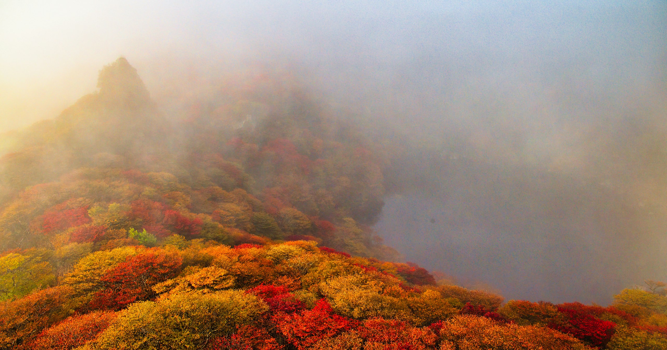 2024-11-autumn-leaves-photography-guide-cover-image