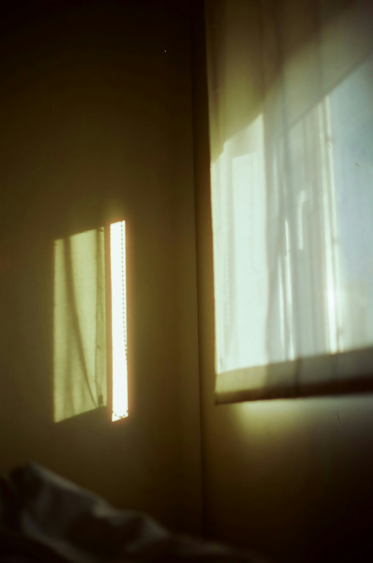 Photo by masato_a