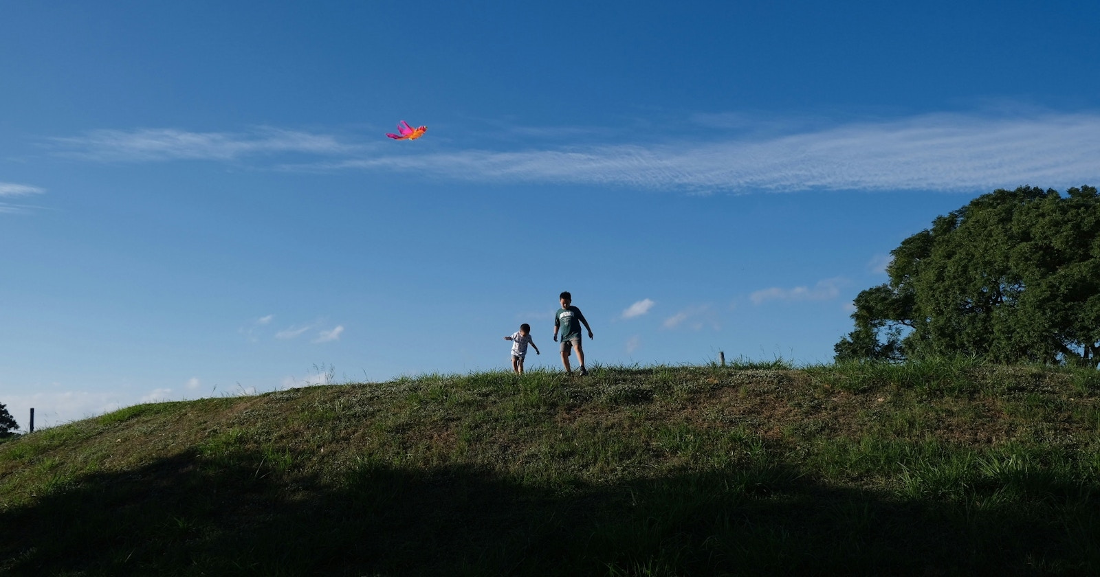 Read Your Photography | Aquilone, fratelli e cielo azzurro | Focus #683