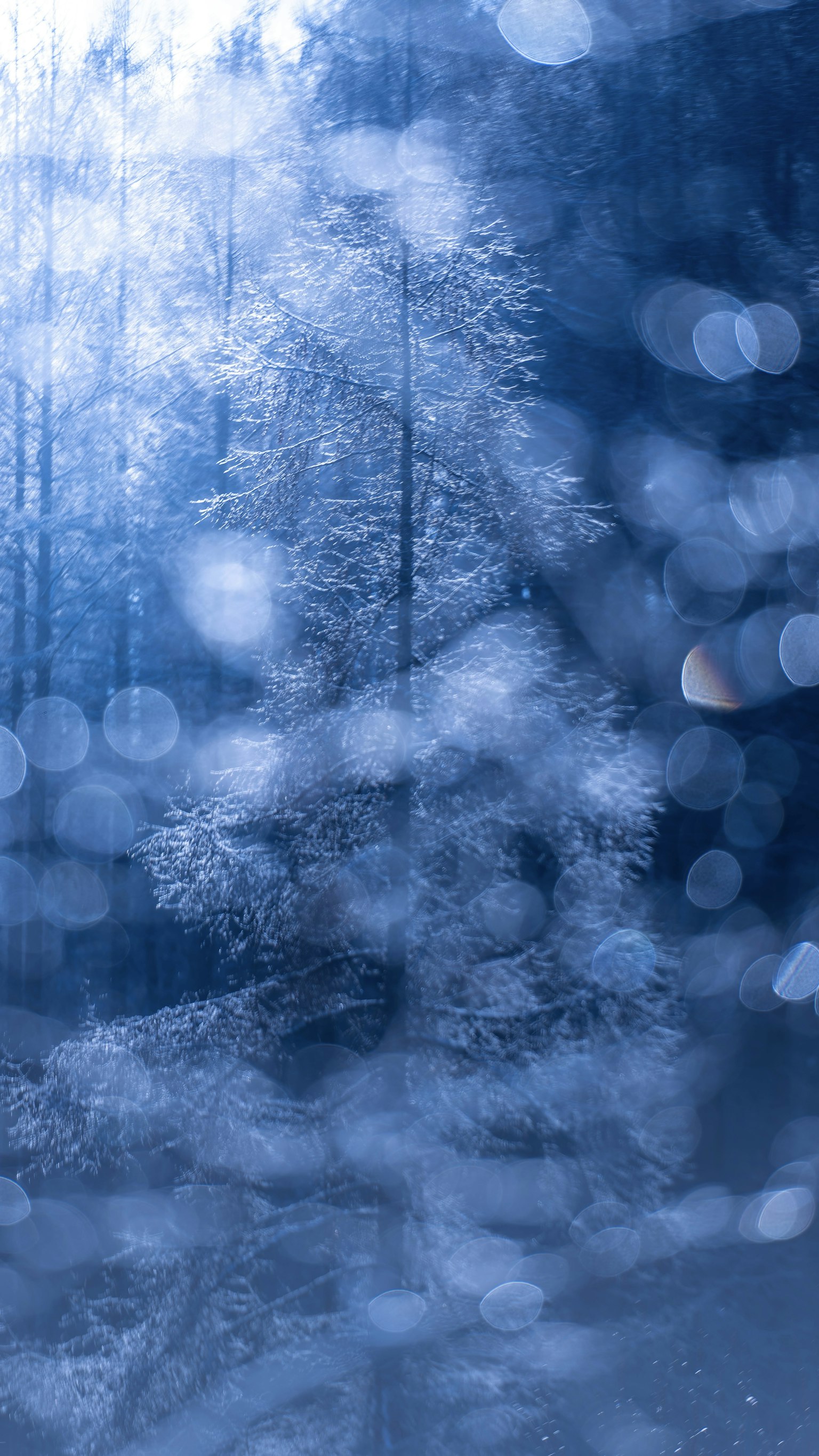 2024-02-natures-whisper-award-image-6