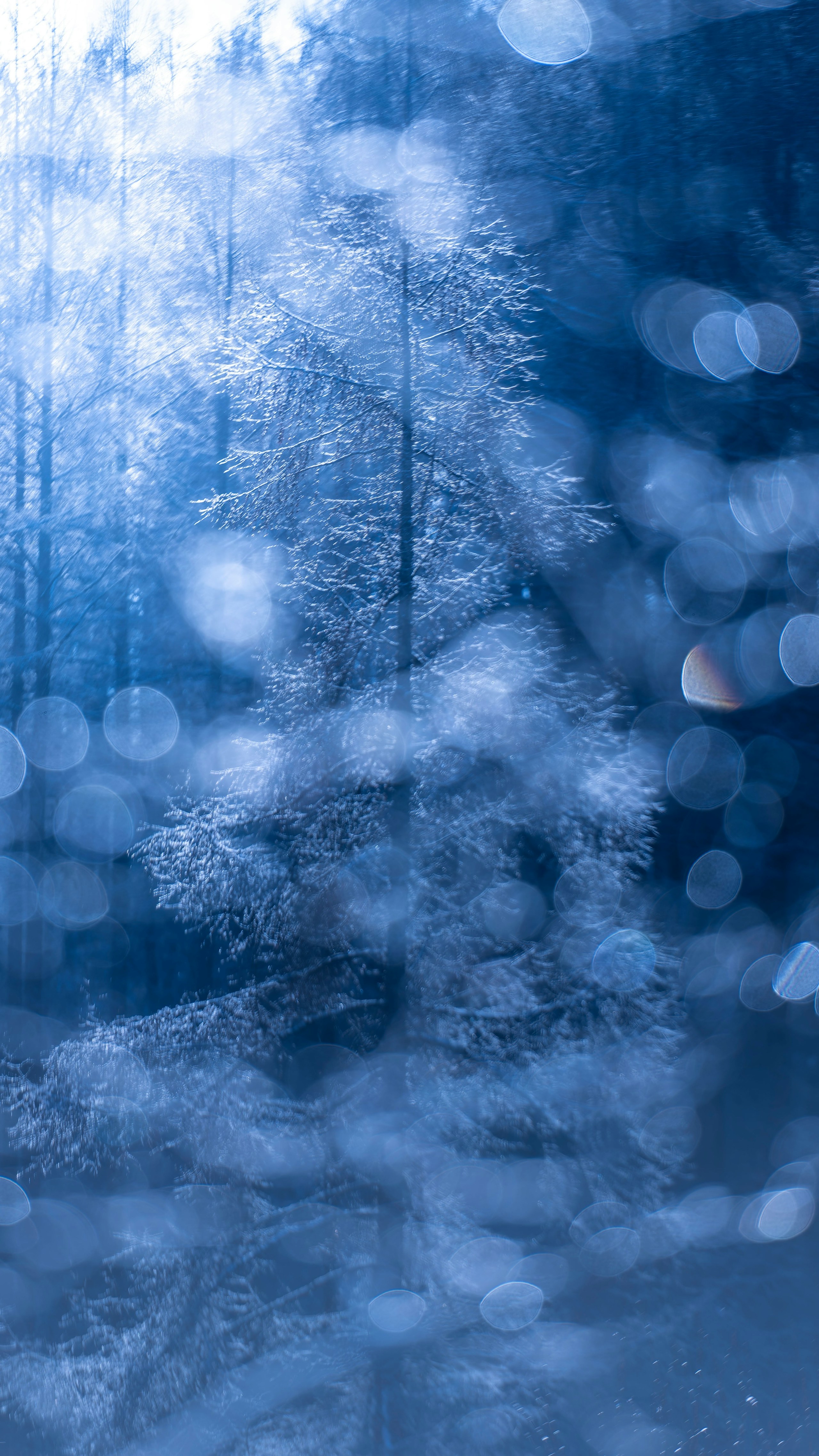 2024-02-natures-whisper-award-image-6