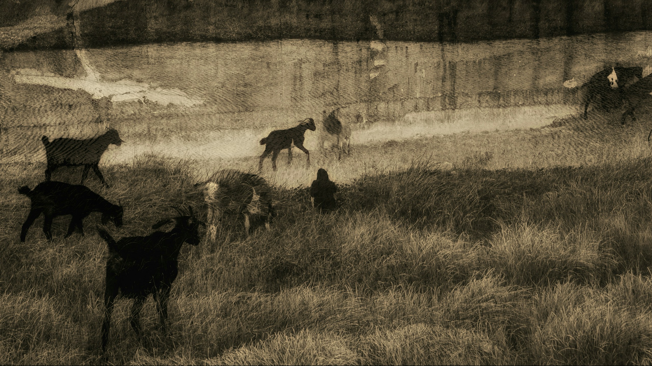 2026-07-read-your-photography-homage-to-that-day-image-3