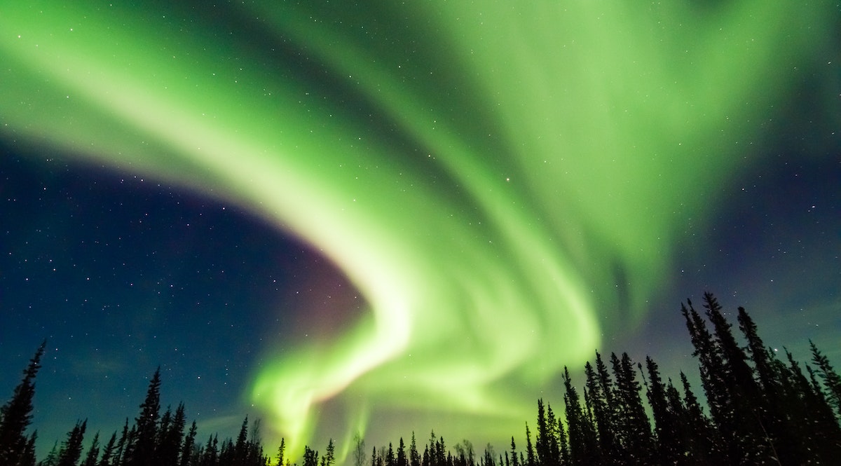 2023-11-landscape-treasures-image-6