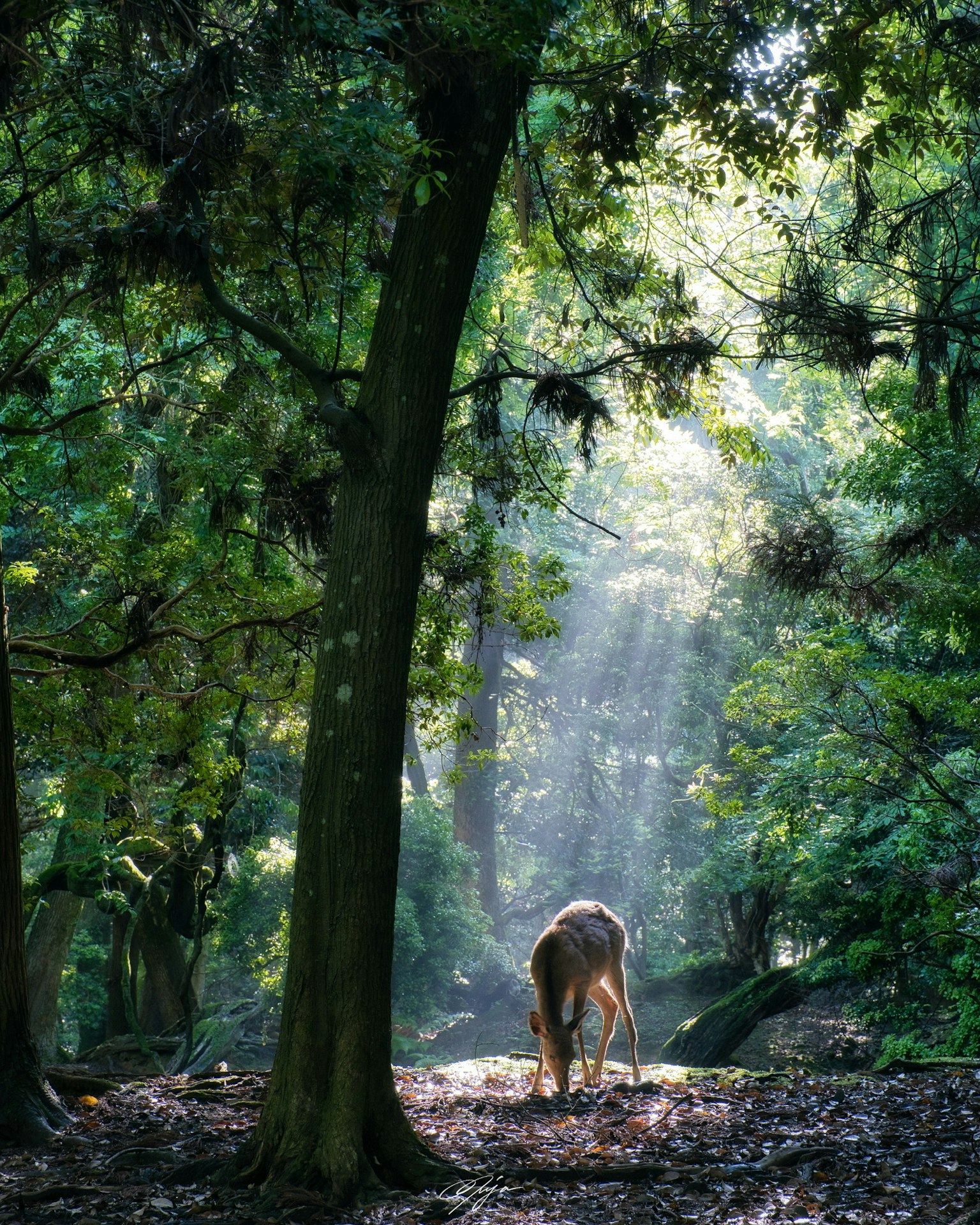 2023-12-end-of-year-reflection-image-23