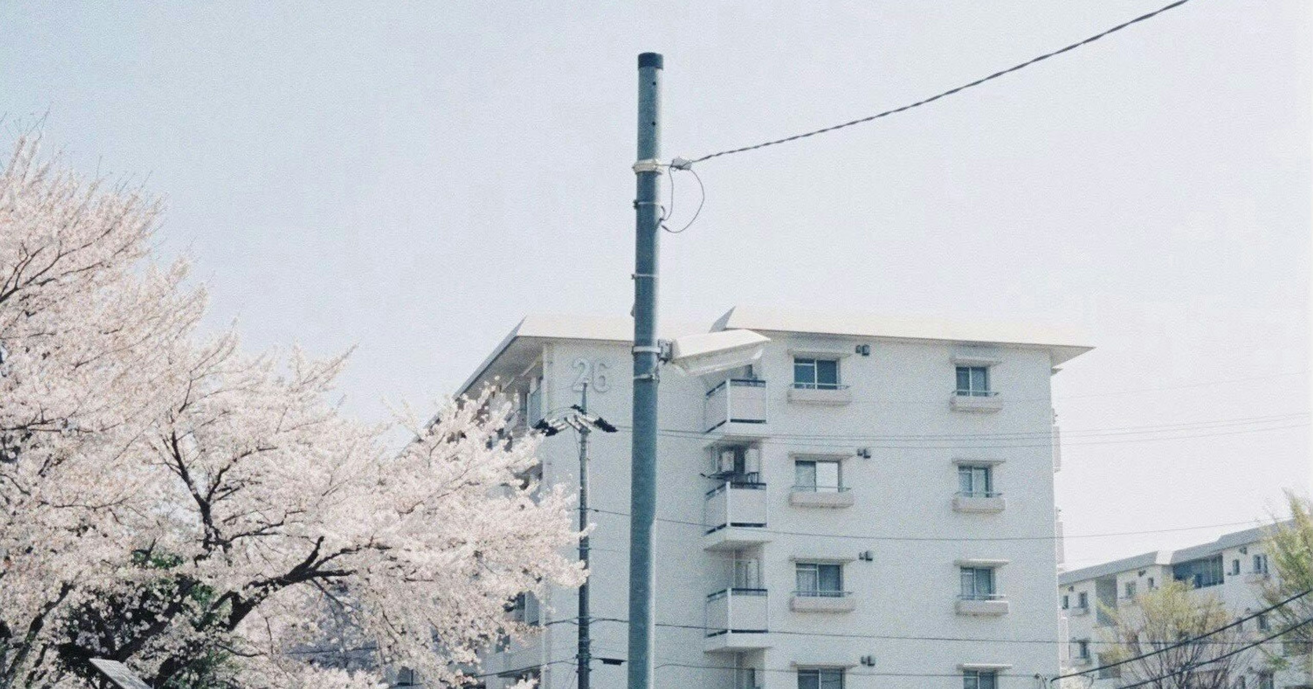 2026-04-snapshot-cover-image