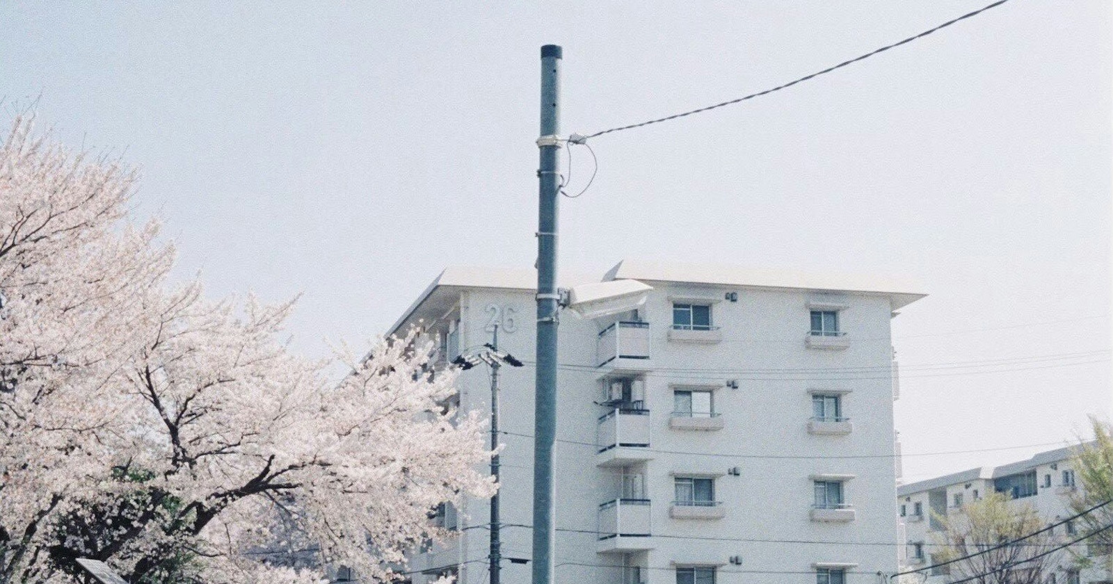 #snapshot | Seasonal Urban Landscapes | Focus #644