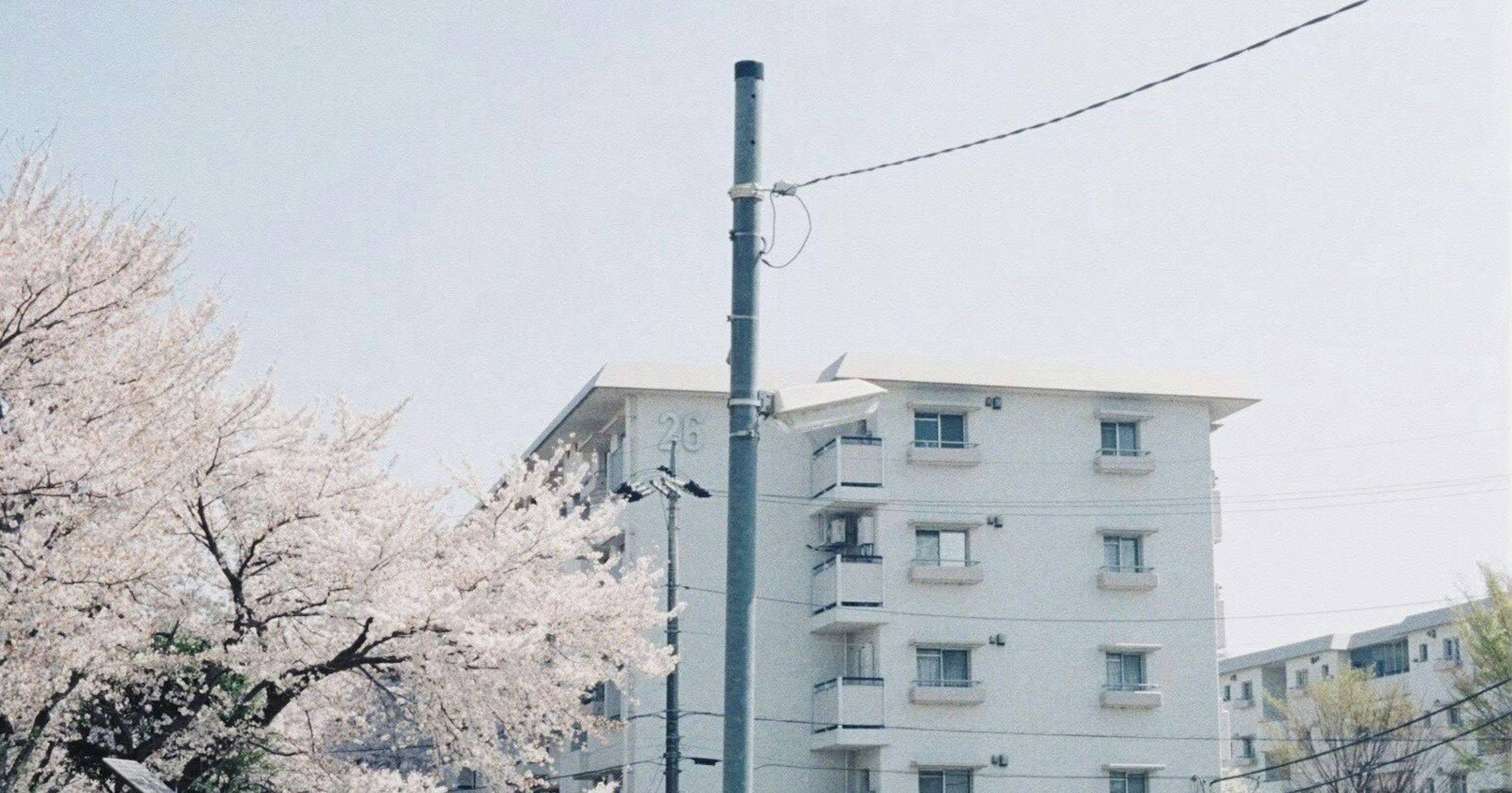 #snapshot | Seasonal Urban Landscapes | Focus #644
