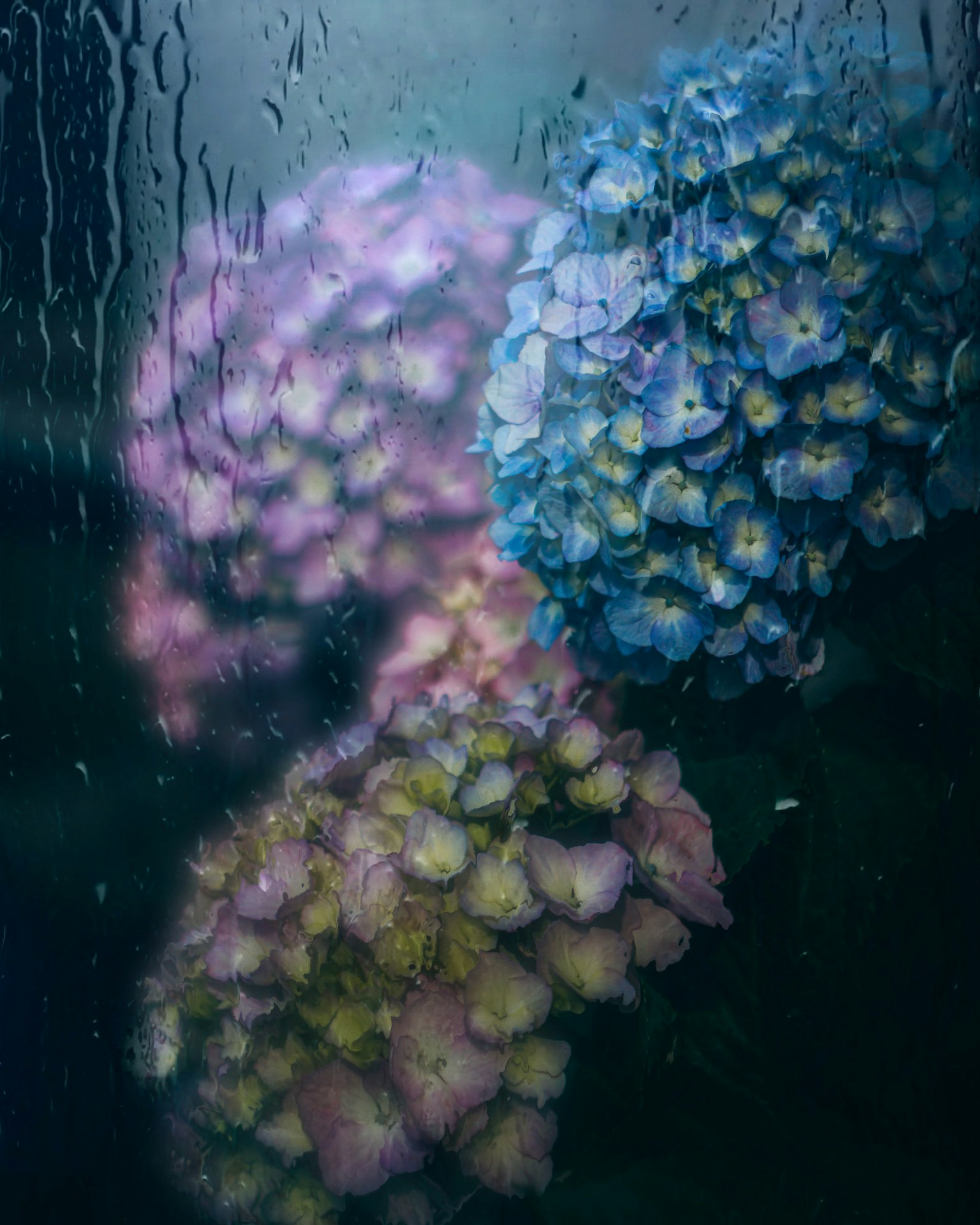 2024-04-daily-palette-award-image-11