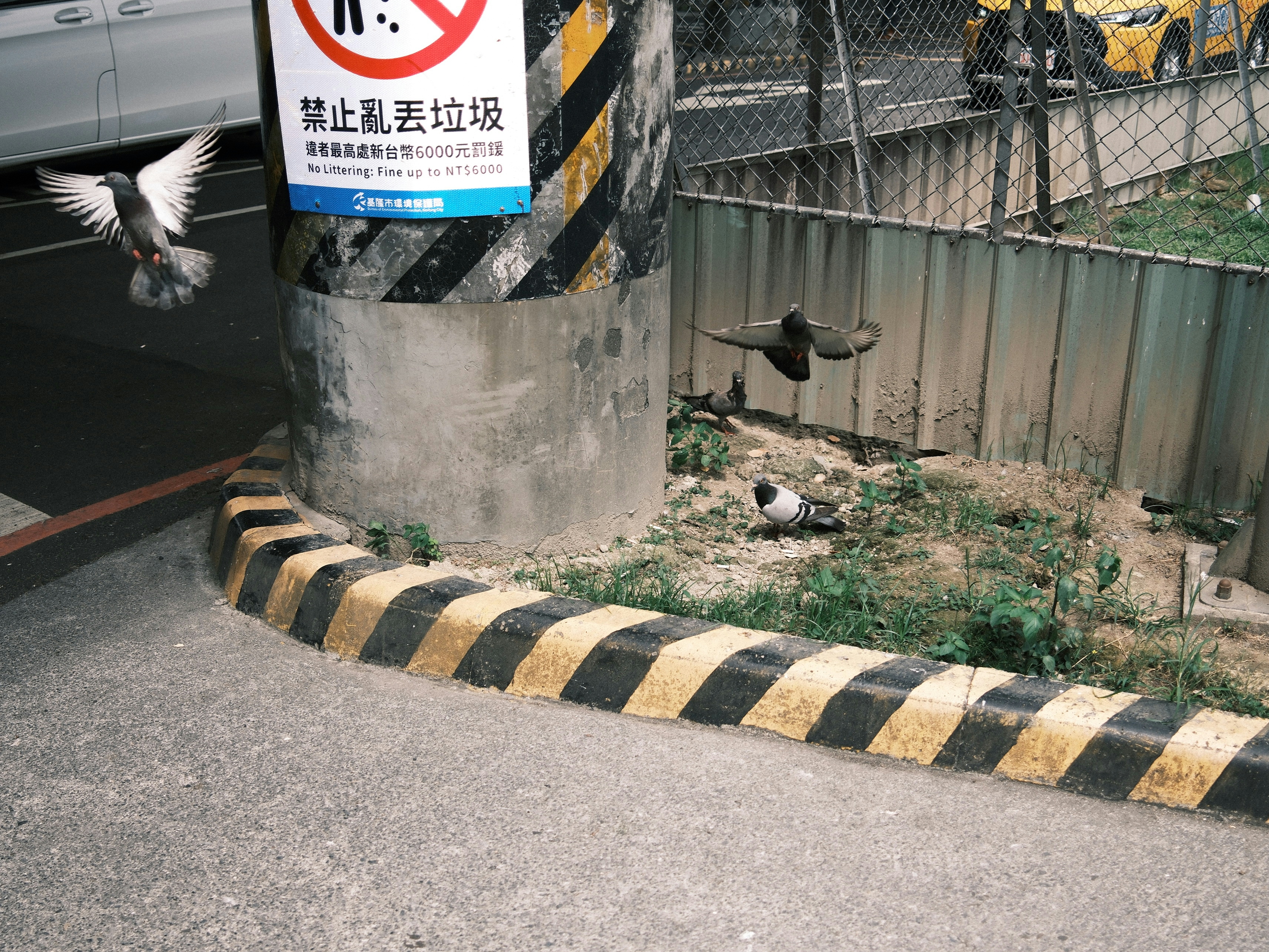 2026-07-read-your-photography-only-the-shutter-cover-image