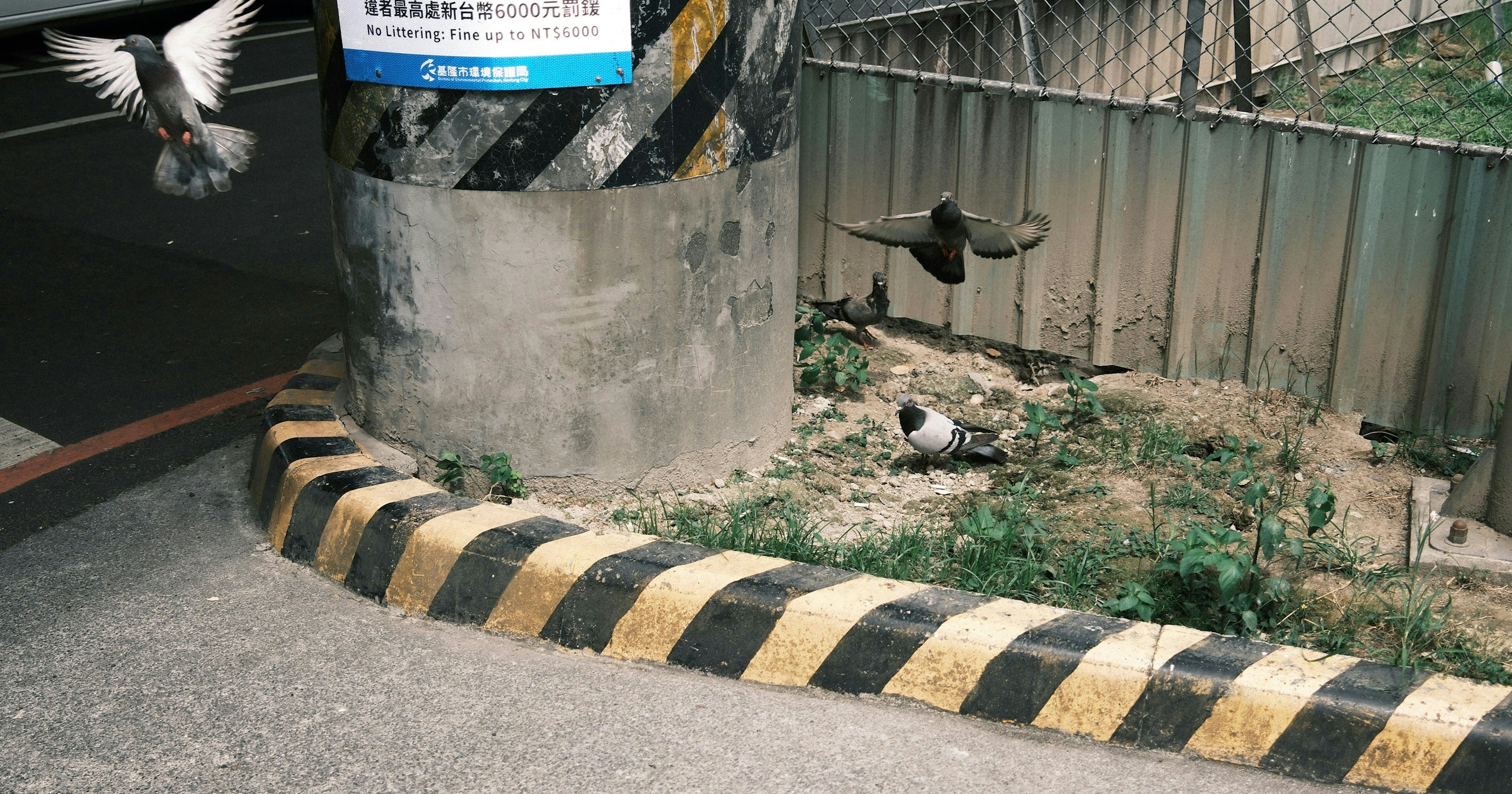 Read Your Photography | Hanya Shutter yang Menjadi Nafas | Focus #691