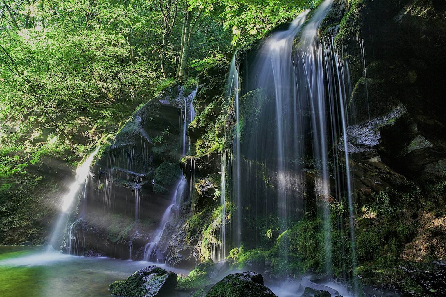 2023-09-green-day-award-image-10