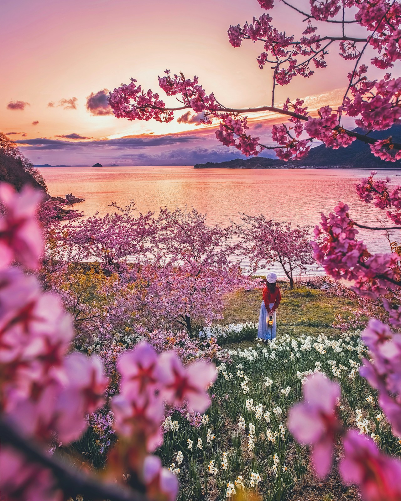 Image by sukko