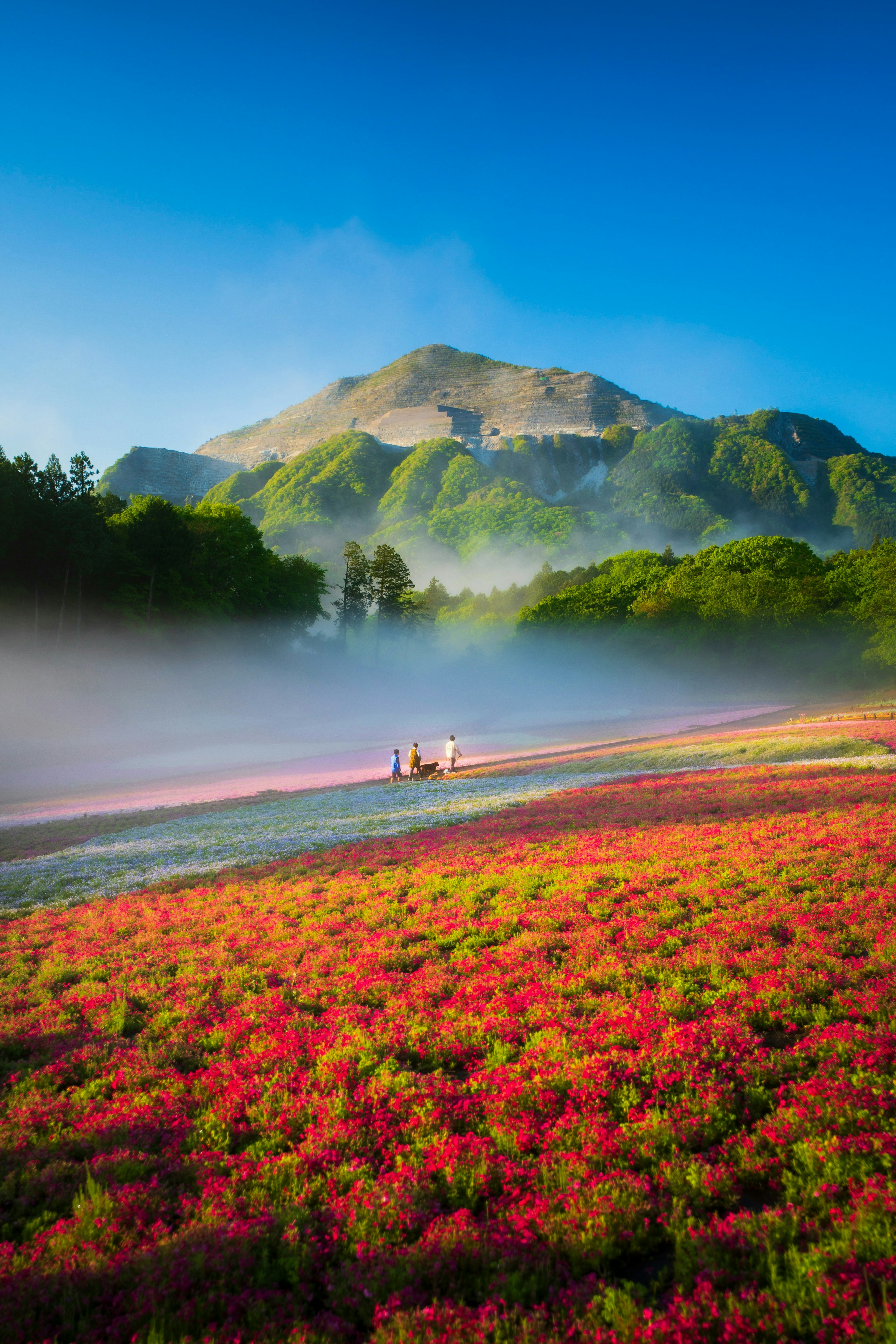 2025-05-from-morning-to-morning-image-15