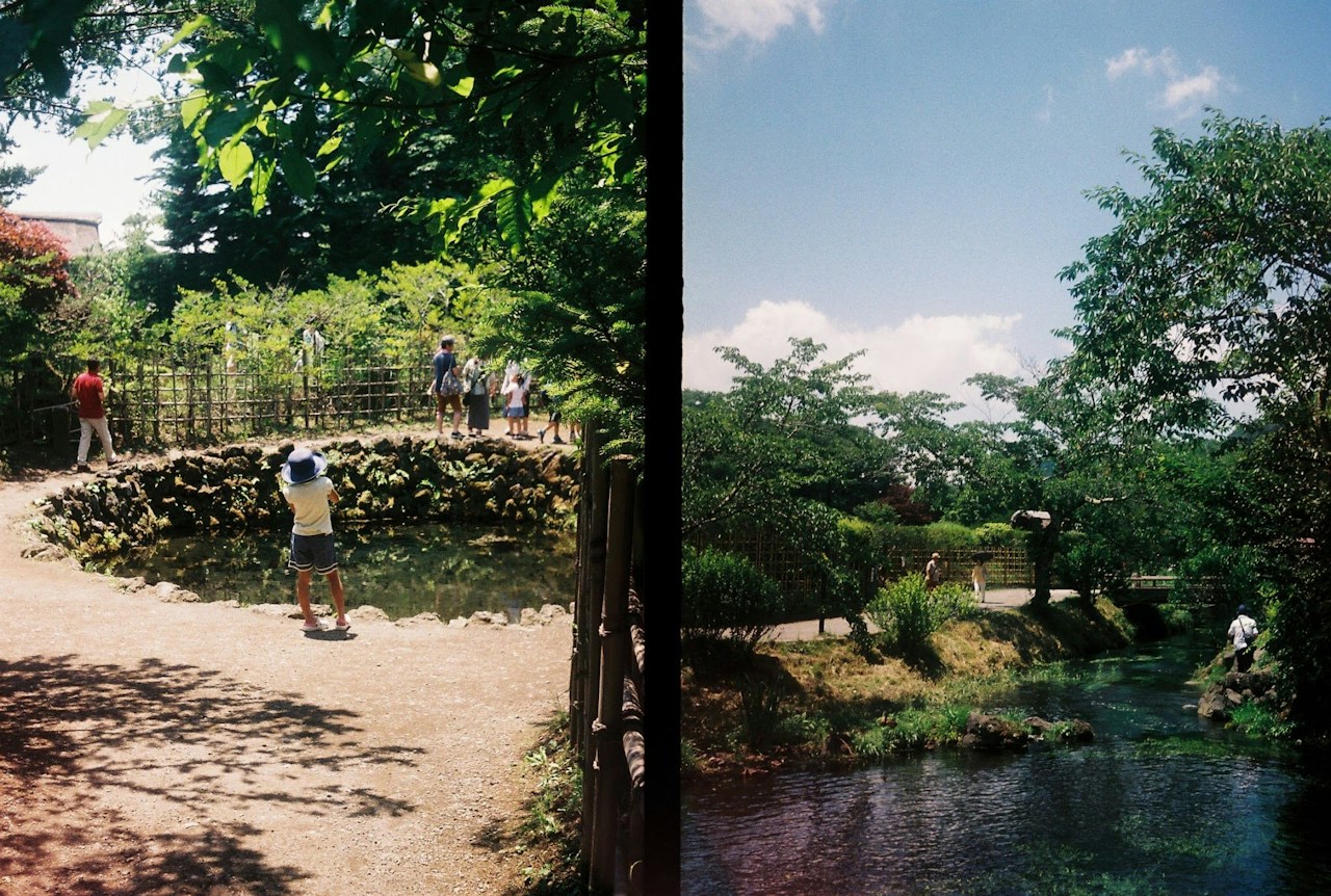 Image by miho