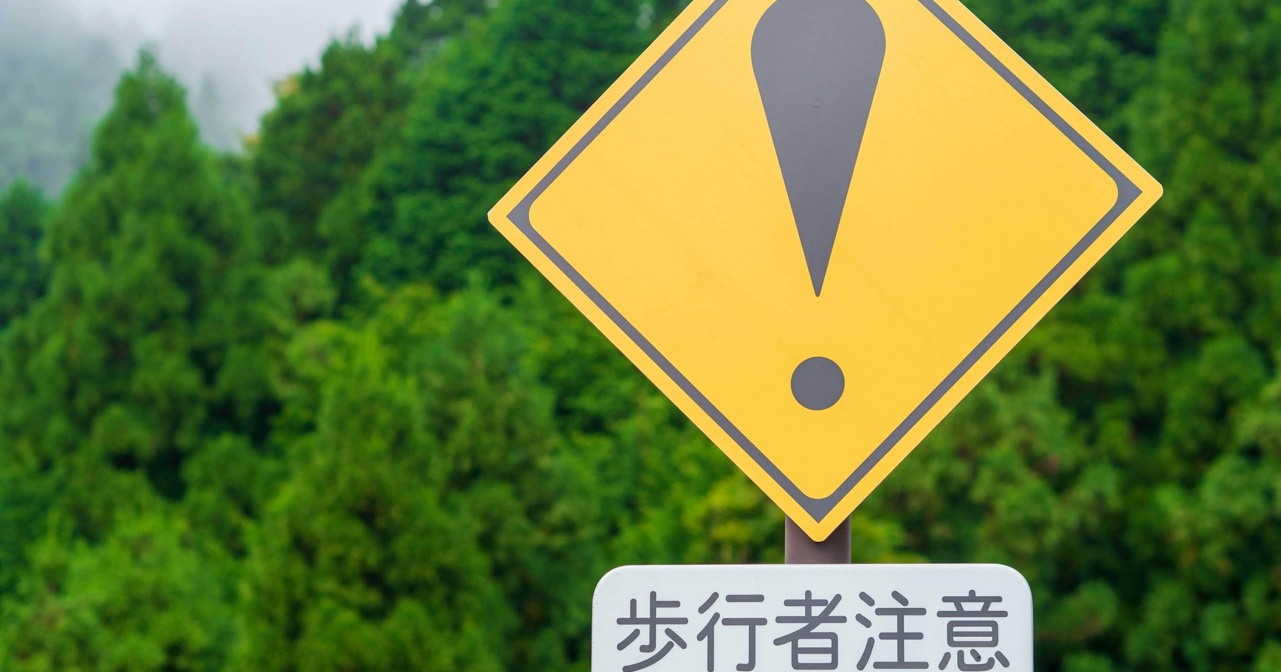 2024-11-yellow-cover-image