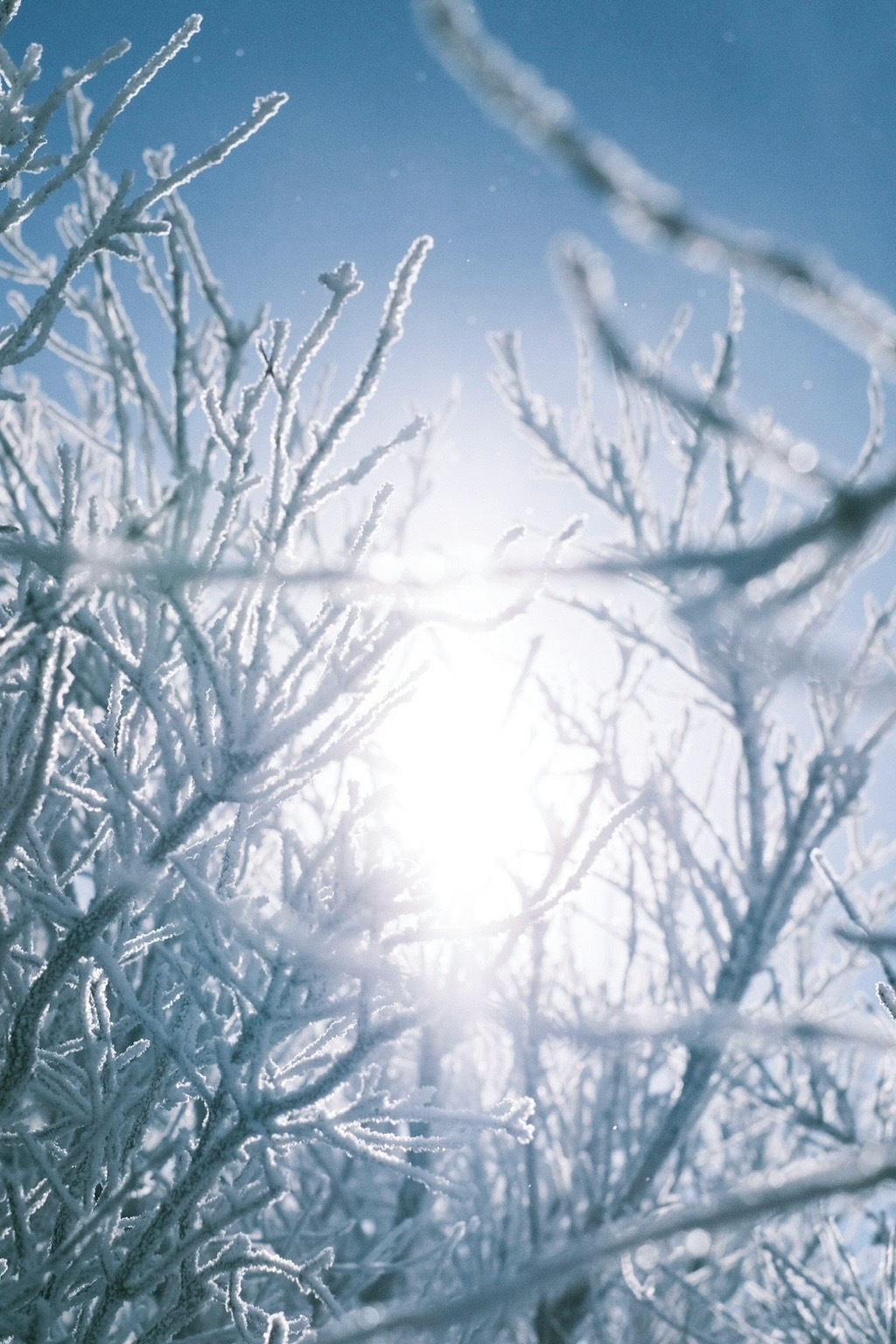2026-01-find-new-pieces-winter-image-25