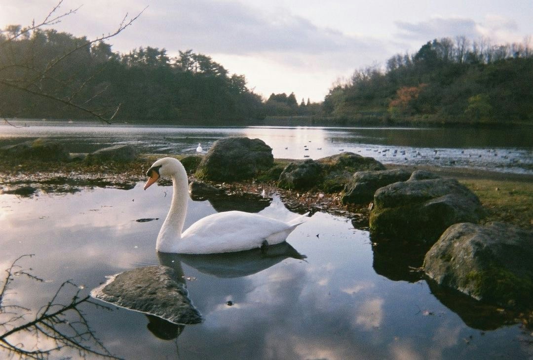 Image by saku