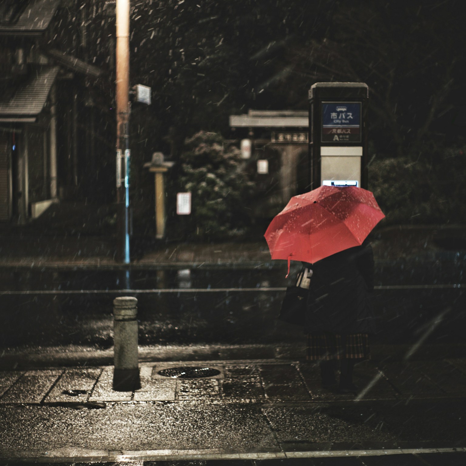 2024-03-walikng-in-the-night-snap-cover-image