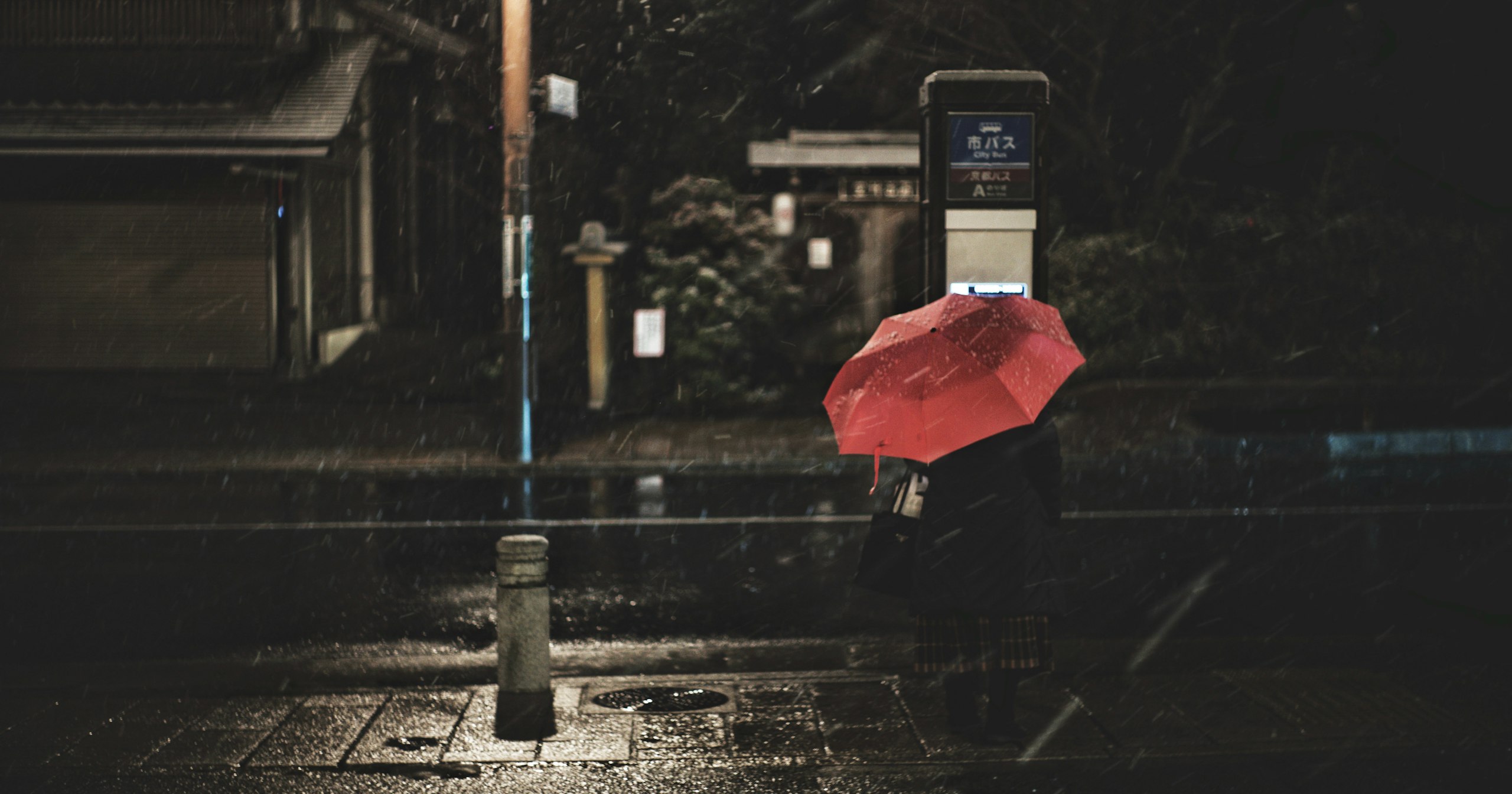 2024-03-walikng-in-the-night-snap-cover-image