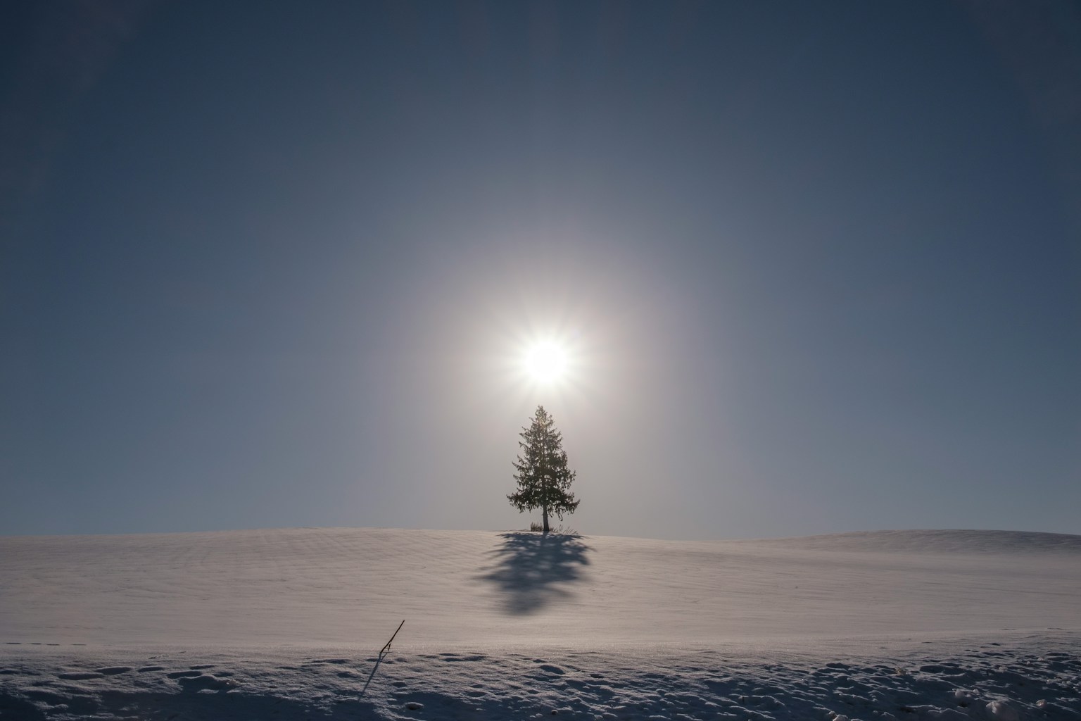 2024-04-hokkaido-image-14