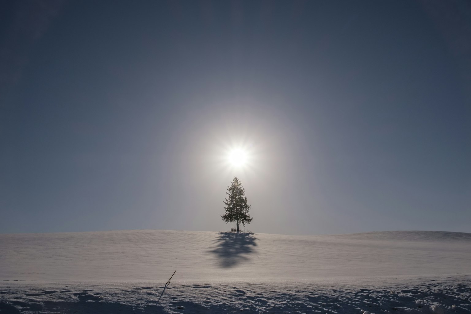2024-04-hokkaido-image-14