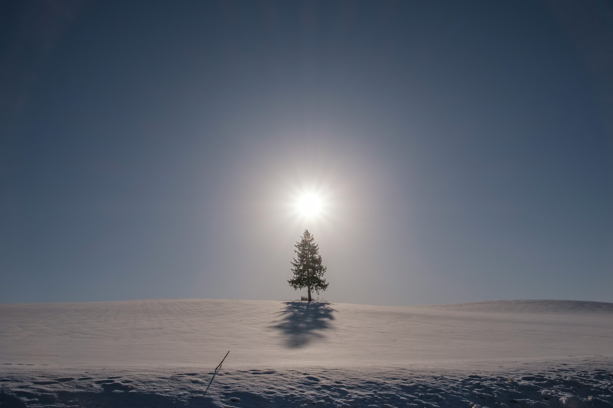 2024-04-hokkaido-image-14