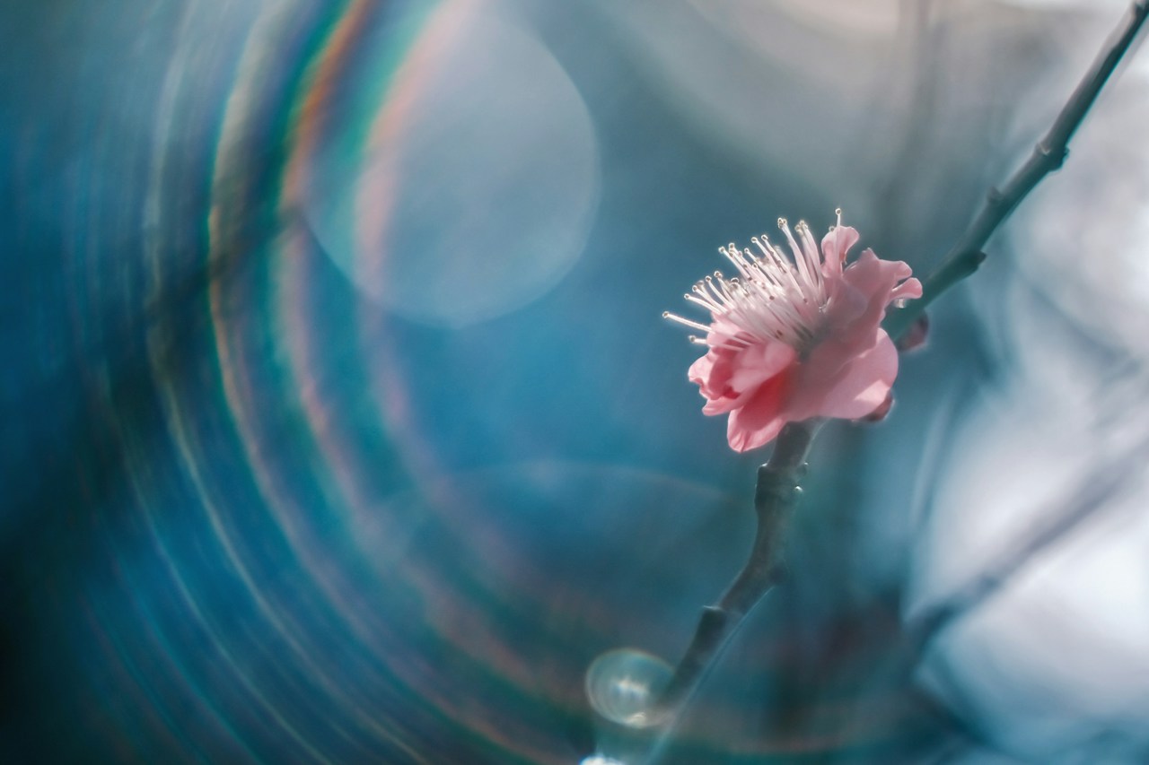 Image by aya