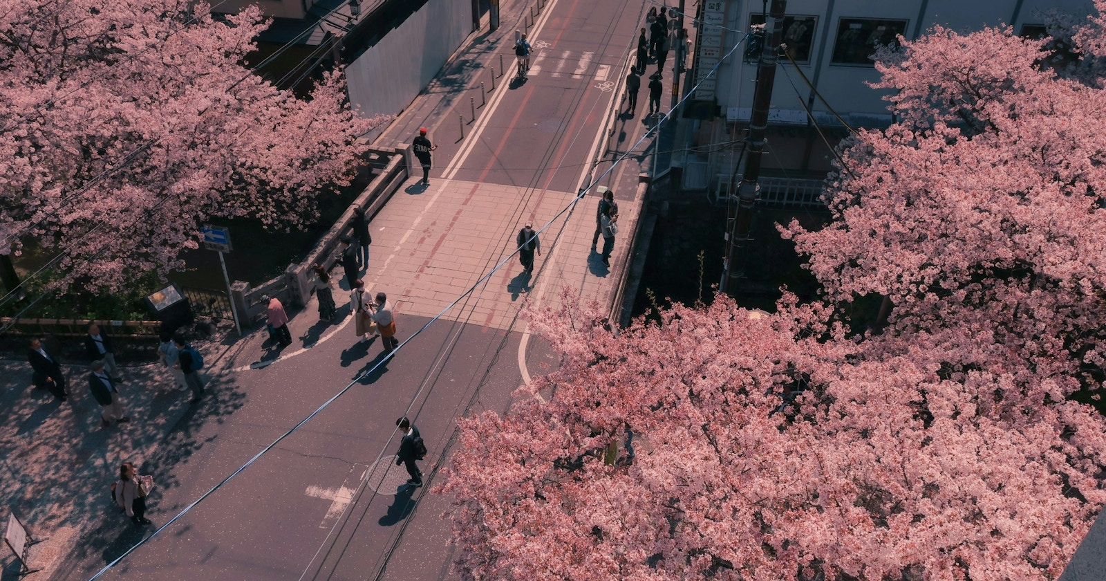 #spring | 街道充滿鮮豔色彩的季節 | Focus #438