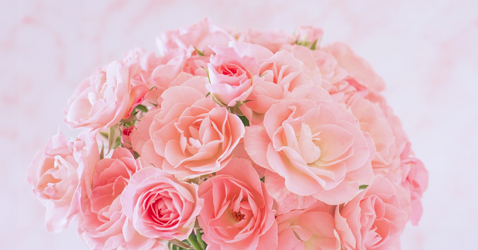 Per la White Day, regala fiori e significato | Focus #48