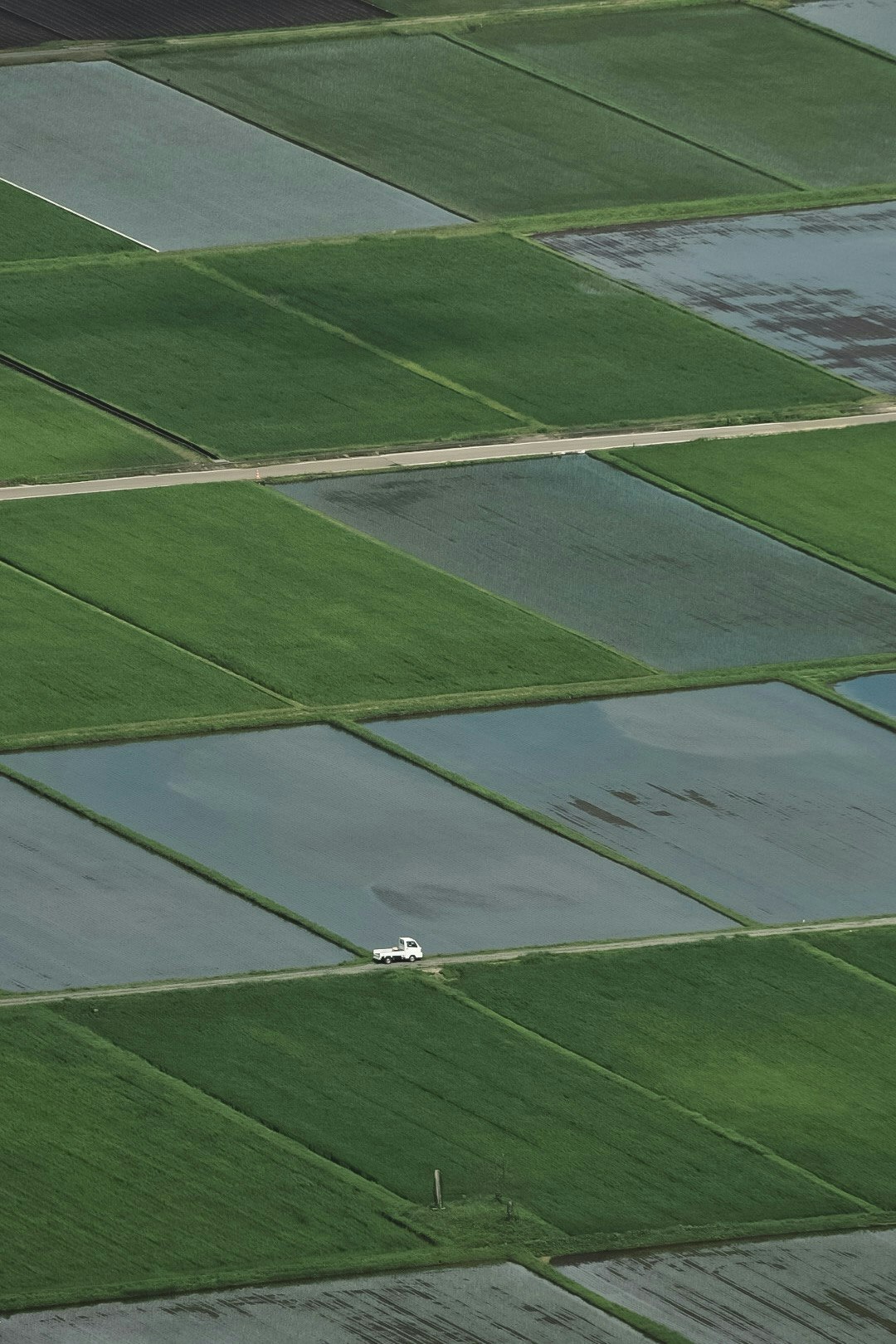 2025-07-photo-contest-pr-2-image-14