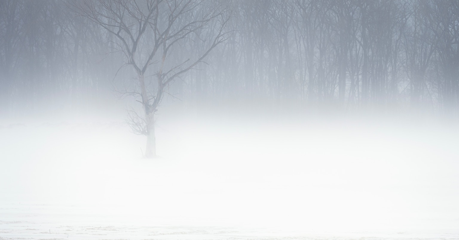 2024-11-white-collection-cover-image