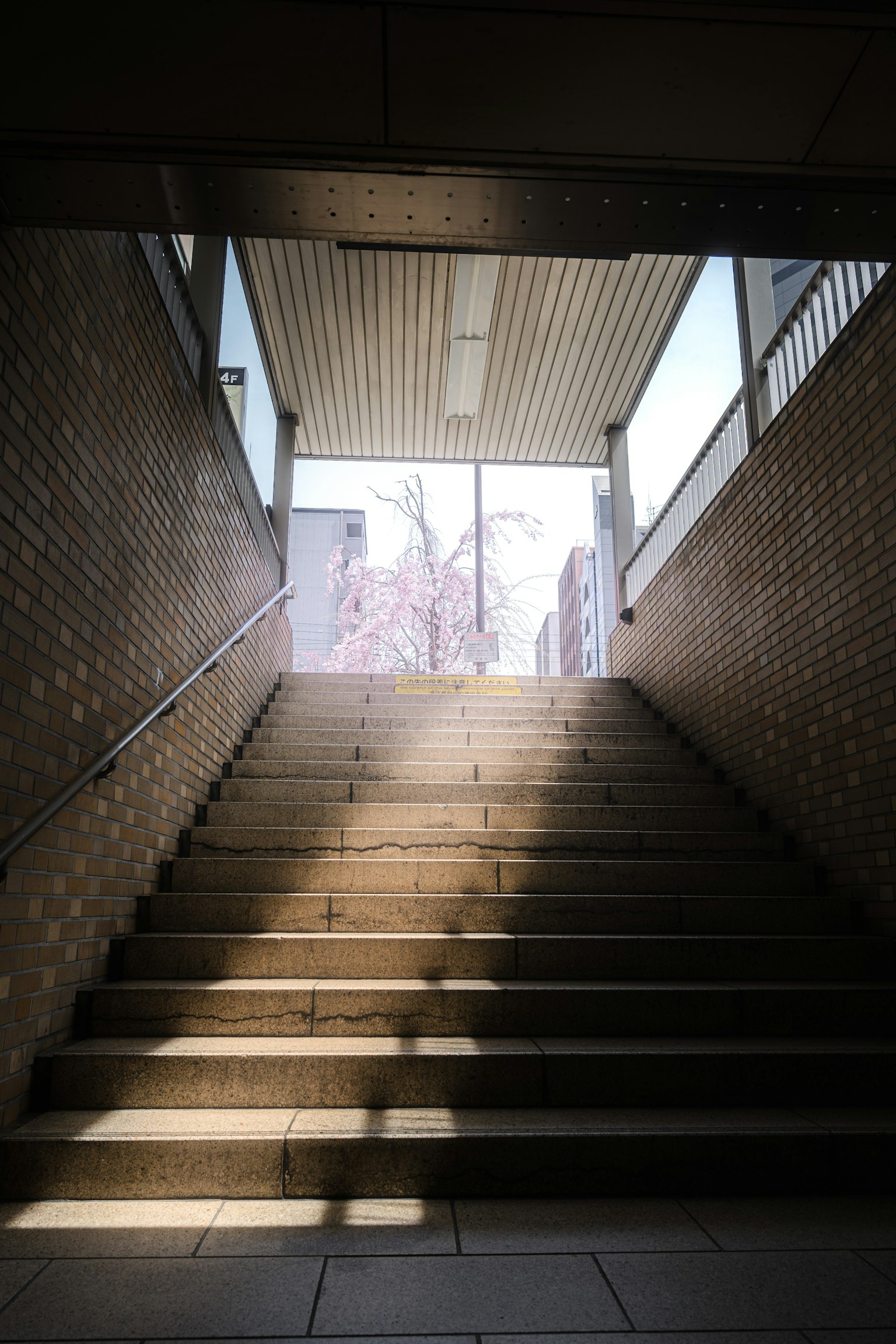 2024-04-spring-melody-award-image-12