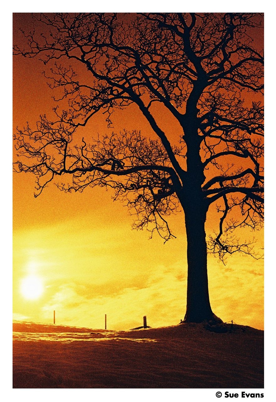 2025-02-harman-red-125-image-8