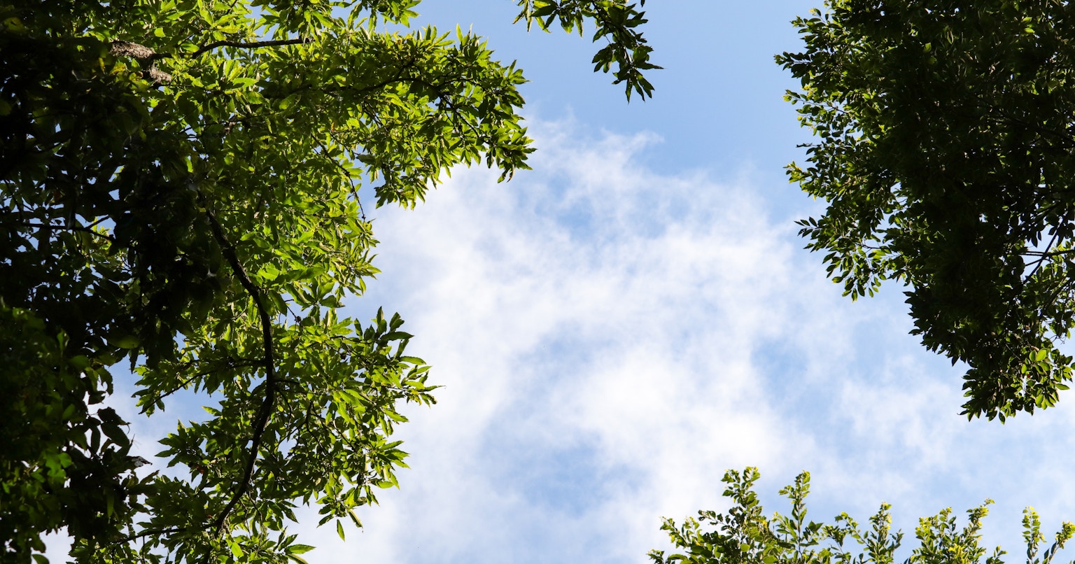 #imasora | Der Himmel im ständigen Wandel | Focus #34