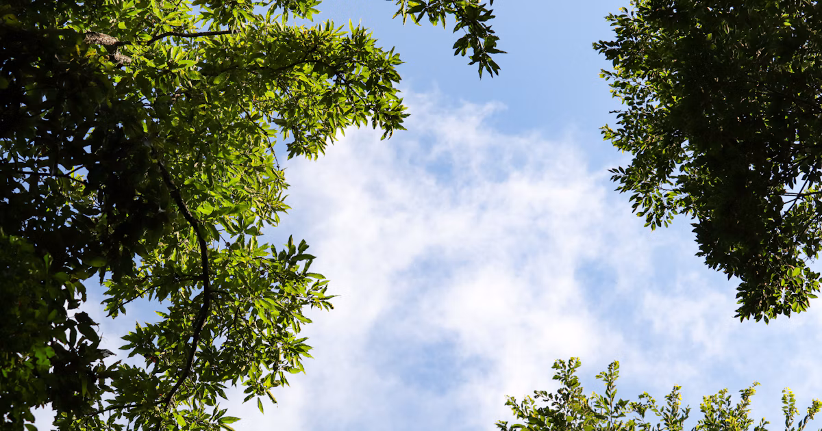 #imasora | Le ciel aux expressions changeantes | Focus #34