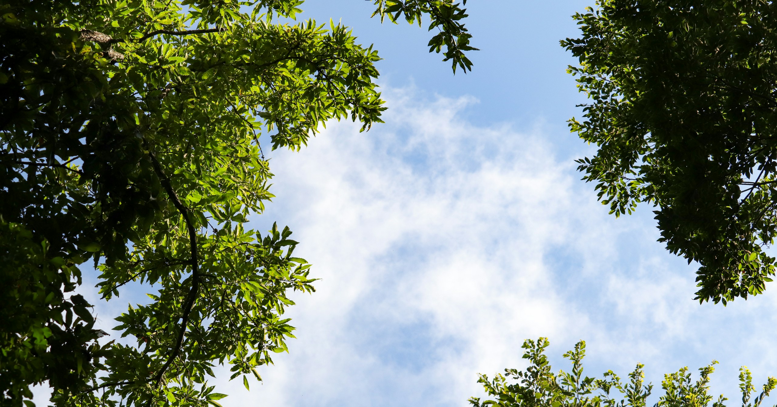 #imasora | The Ever-Changing Expressions of the Sky | Focus #34