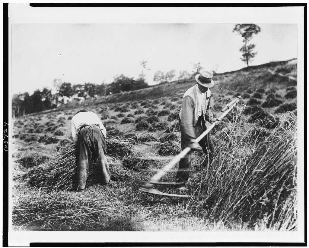 atget Faucheurs, somme – Fotografie von Eugène Atget, einem der bedeutendsten frühen Fotografen