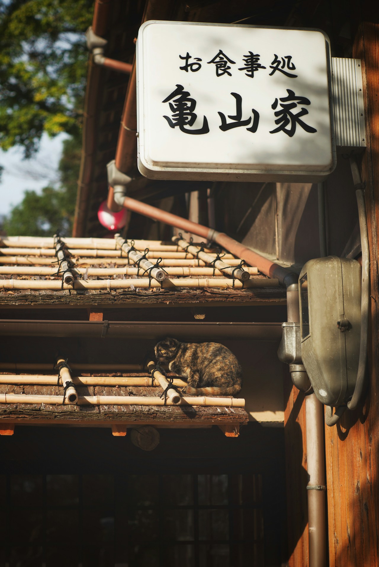 Image by Yukihiro