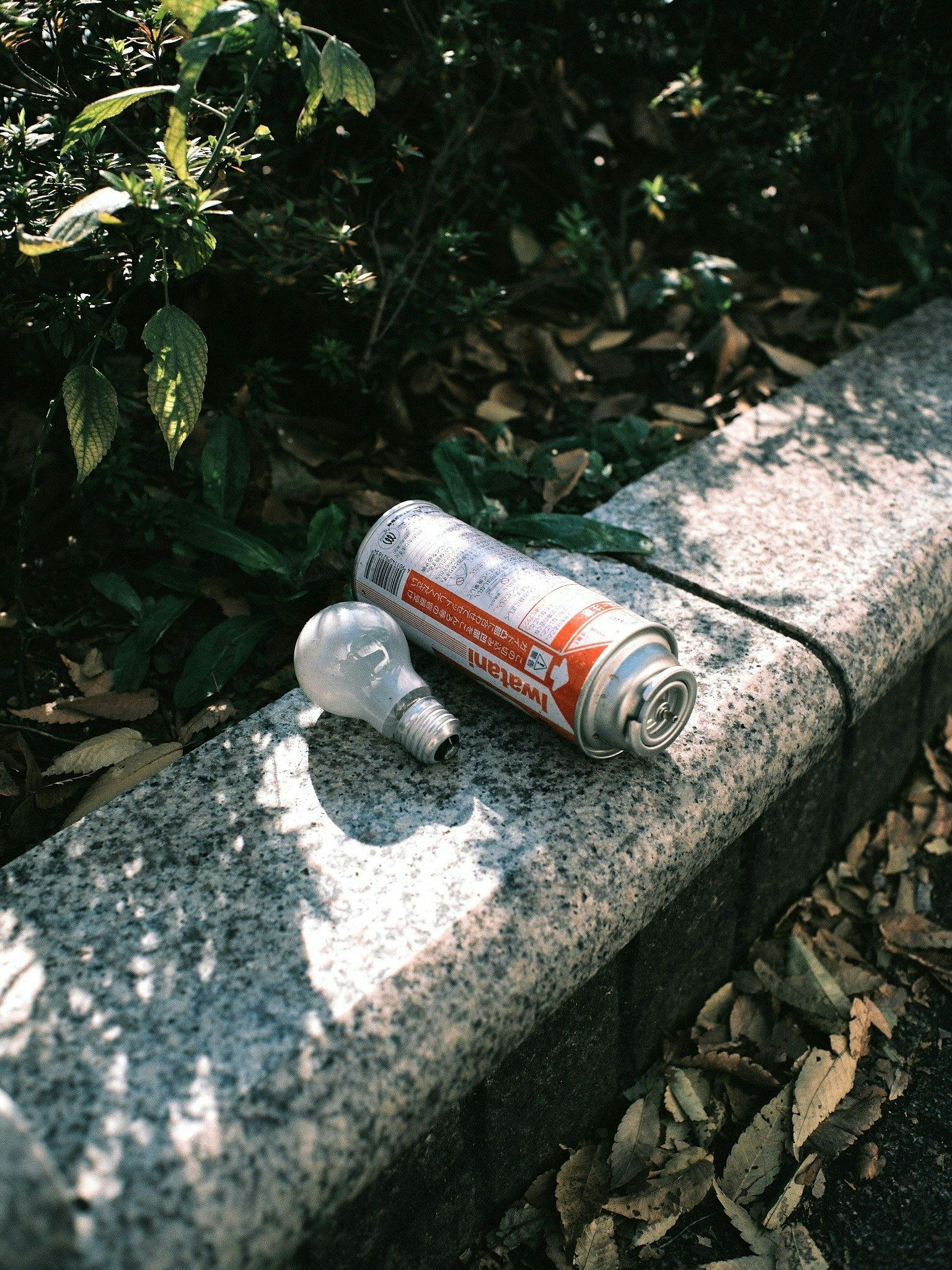 2025-01-hao-reflects-on-the-color-image-10