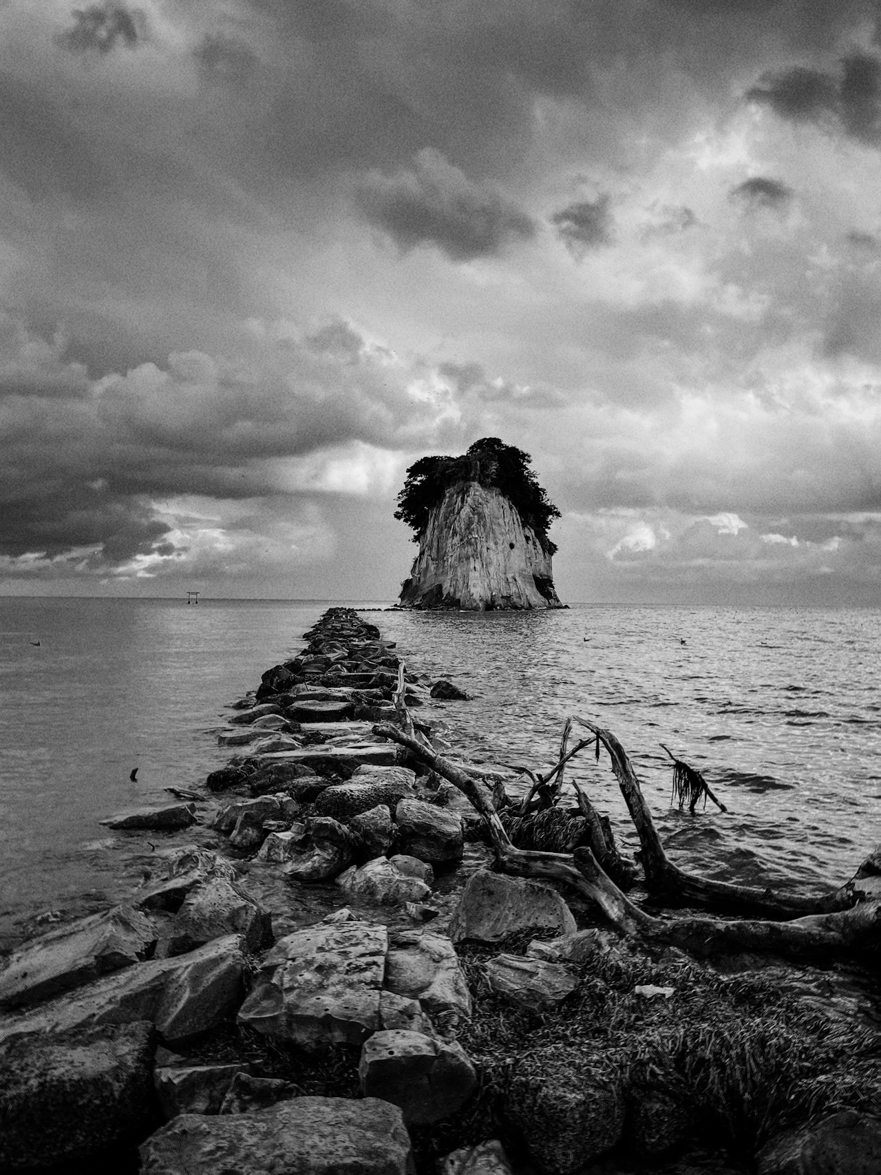 Image by Jang Kumi