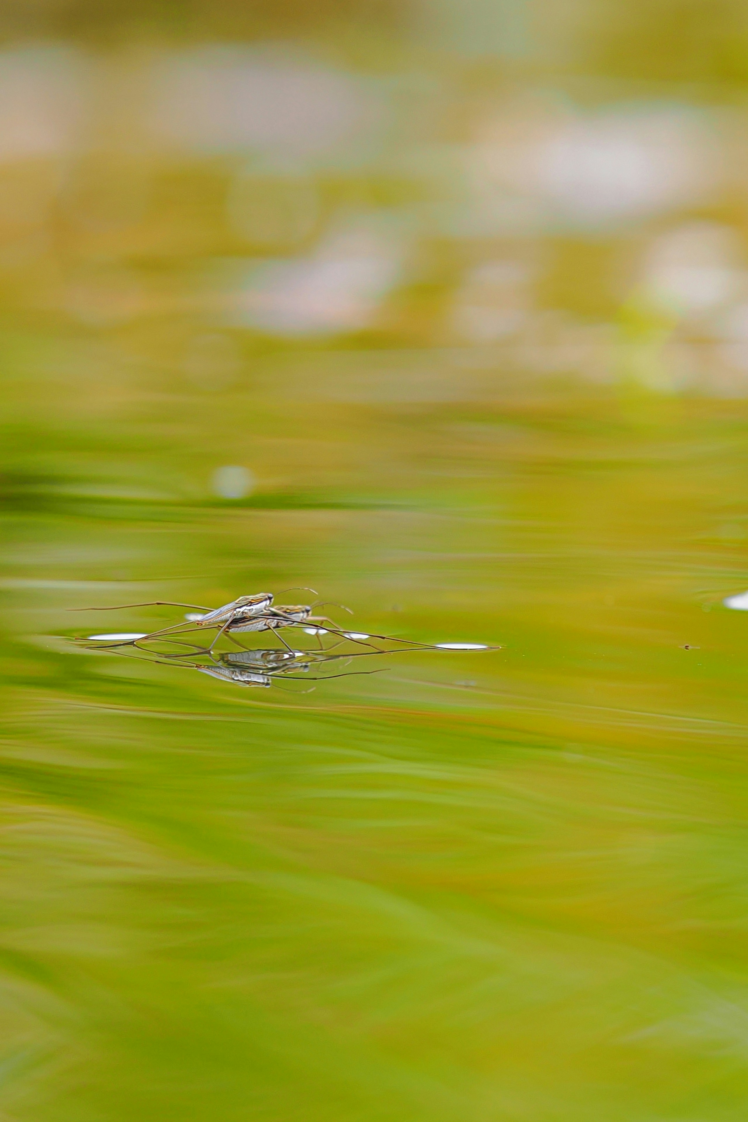 2026-05-greenery-image-5