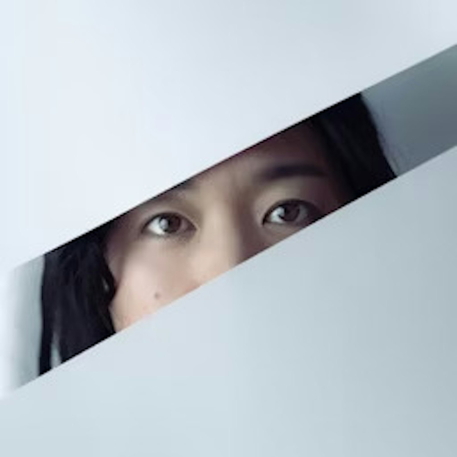 2024-07-spotlight-on-jangkumi-fujikko-tsumasamfg-information-image-14