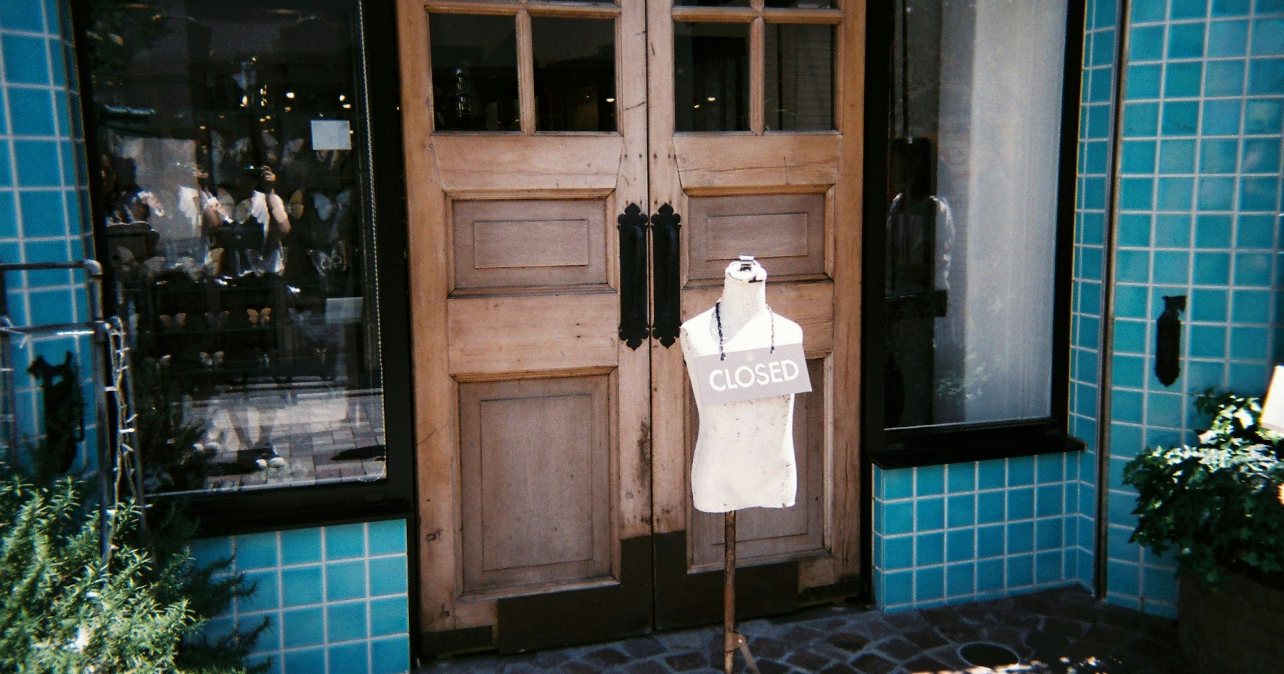 2024-05-translation-photo-into-words-cover-image