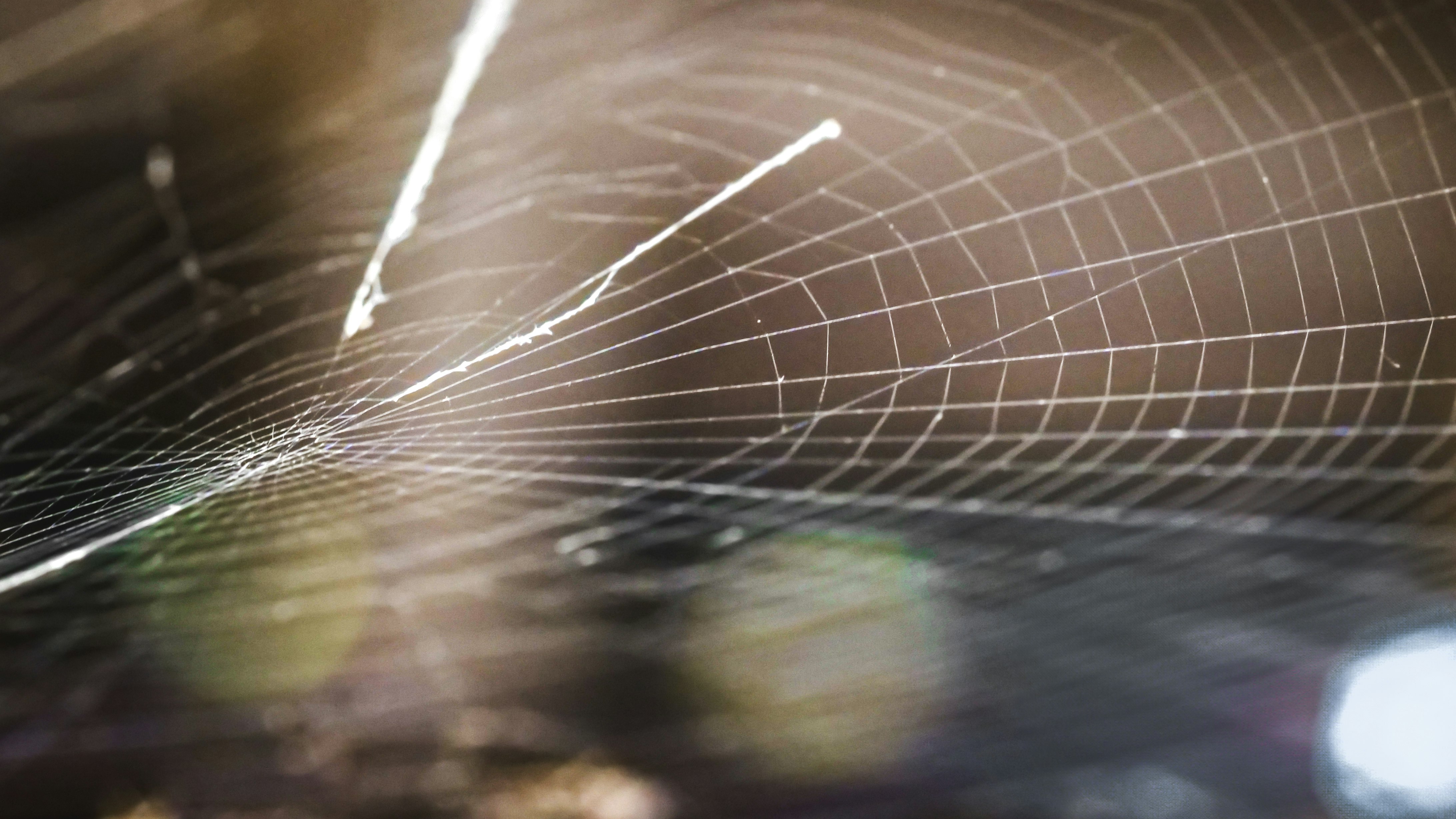 2025-12-structure-and-chaos-cover-image